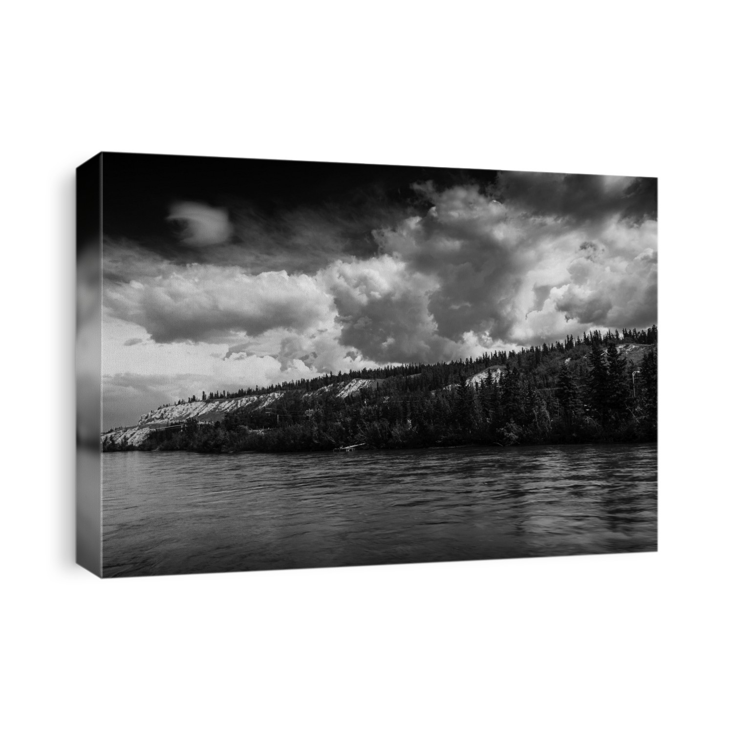 Black and white image of the Yukon landscape as seen from the Millenium Trail