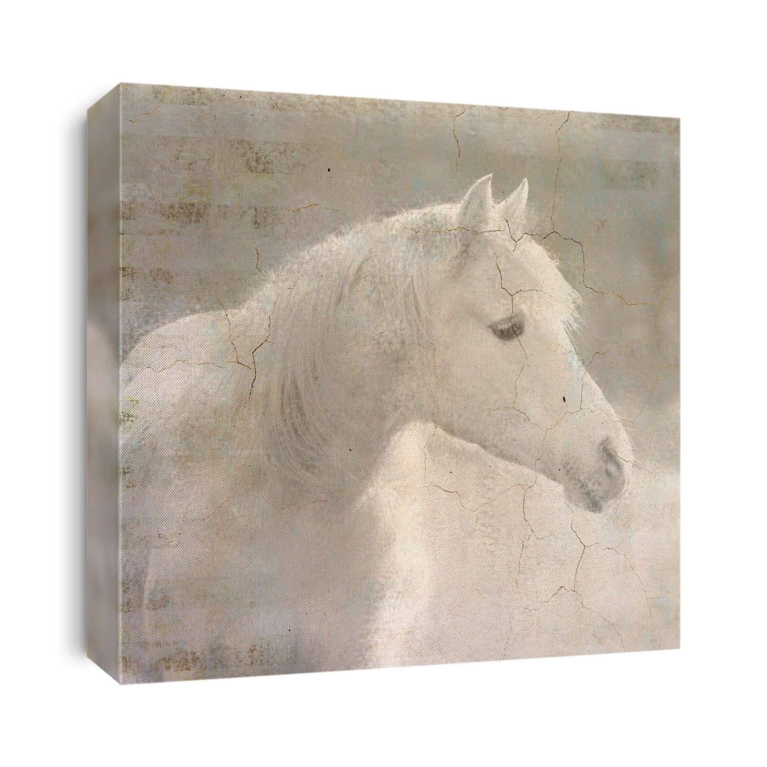 Neutral Horse