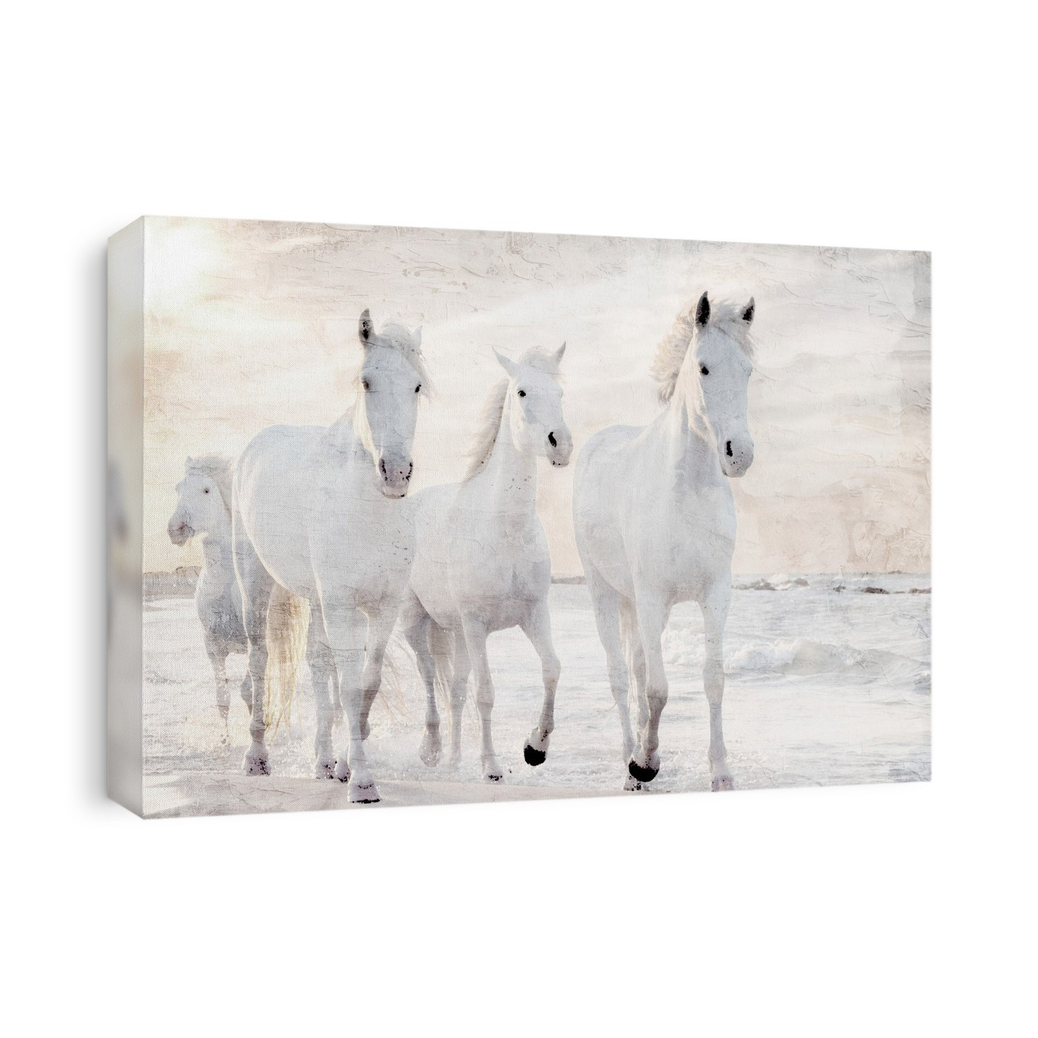 Running wild horses