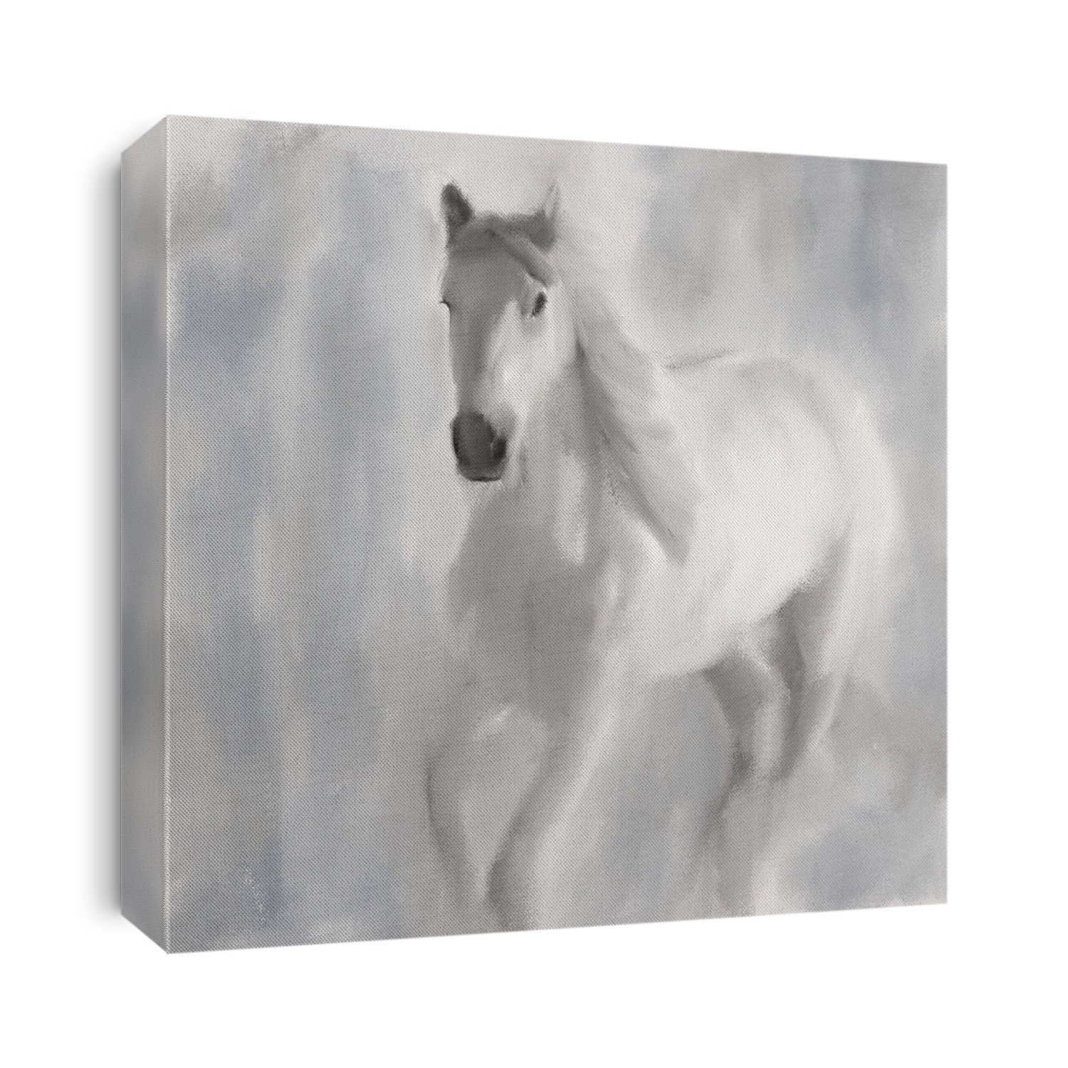 White running horse watercolor