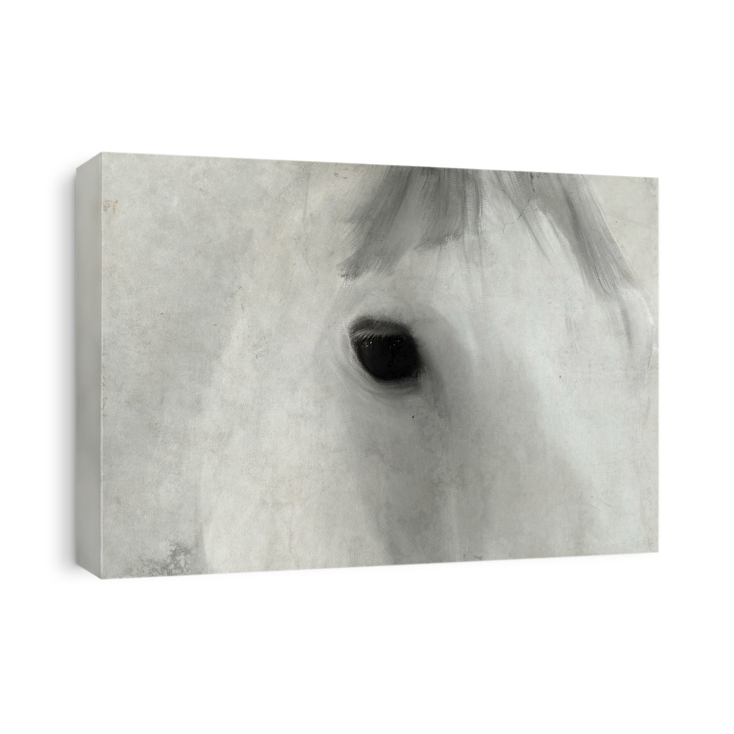 Close up Horse view