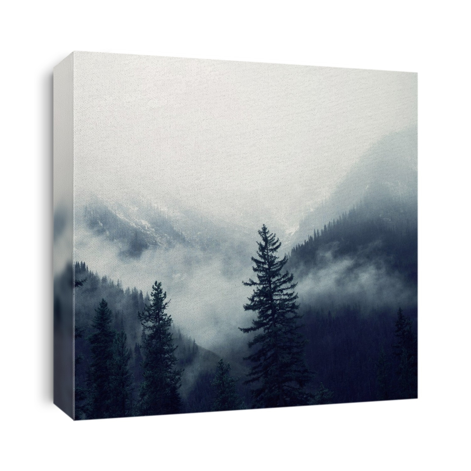 Trees