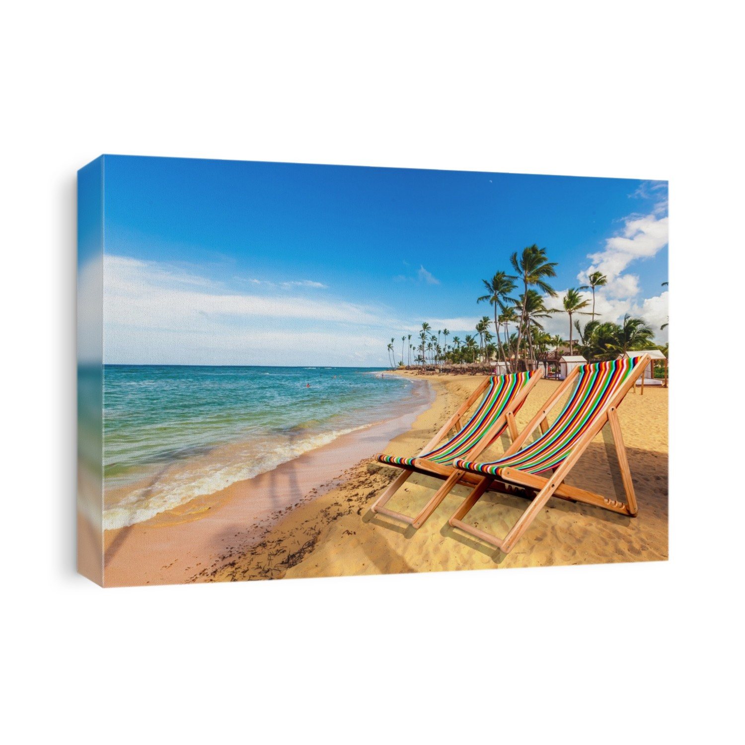 Beach, Tropical Climate, Palm Tree.