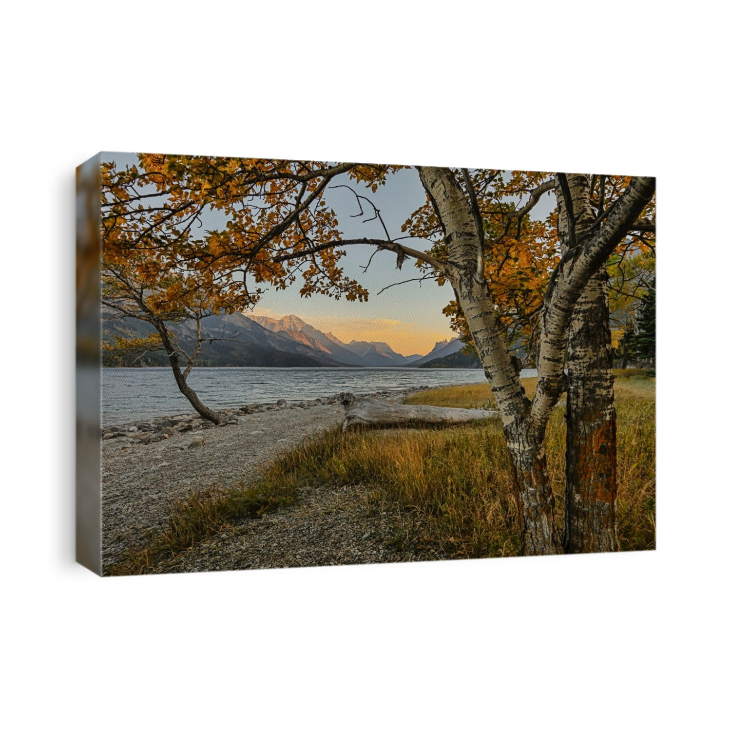 Waterton Lake In Autumn Colours At Sunset Against The Mountains, Waterton Lakes National Park; Alberta, Canada