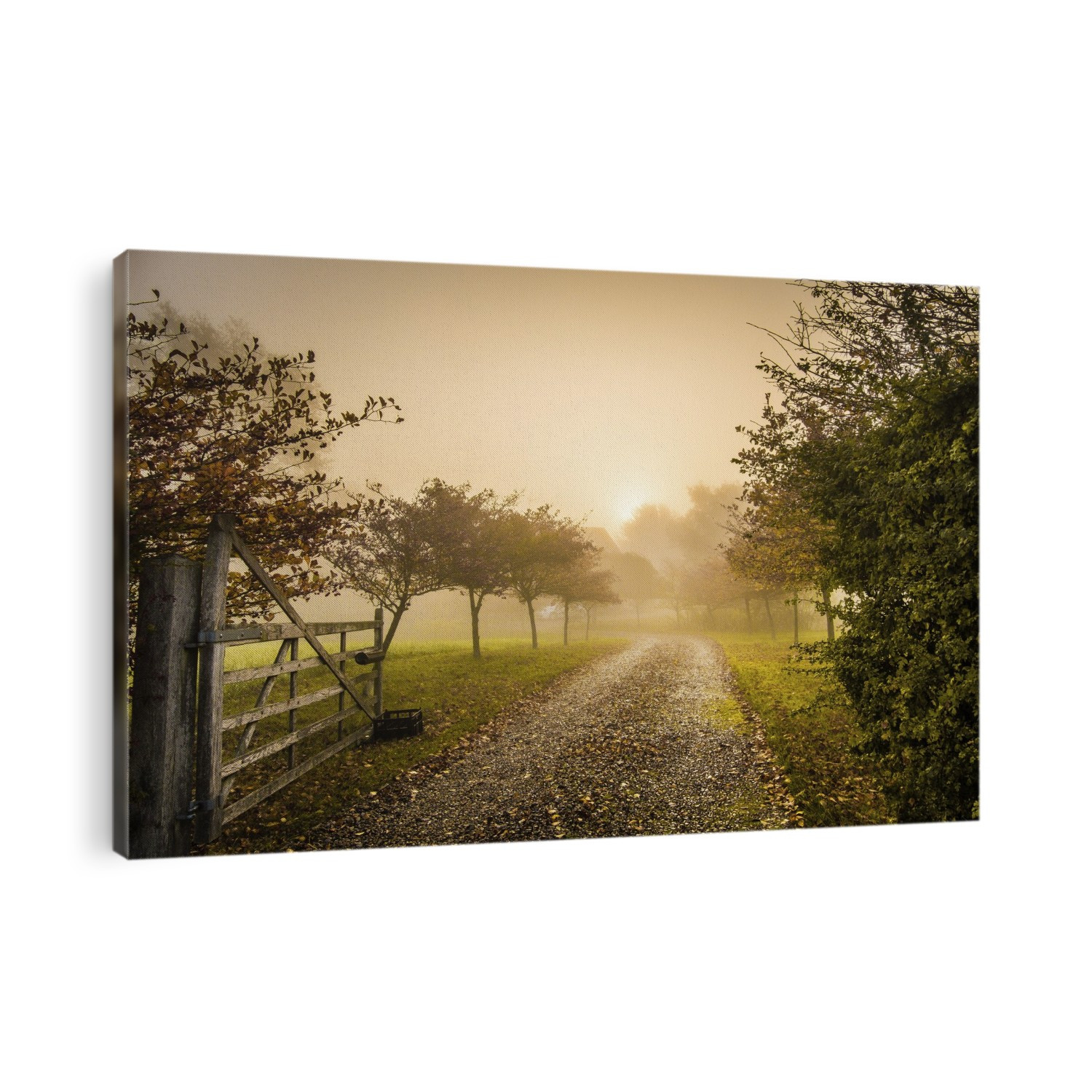 A misty sunrise at a farmhouse in Suffolk.