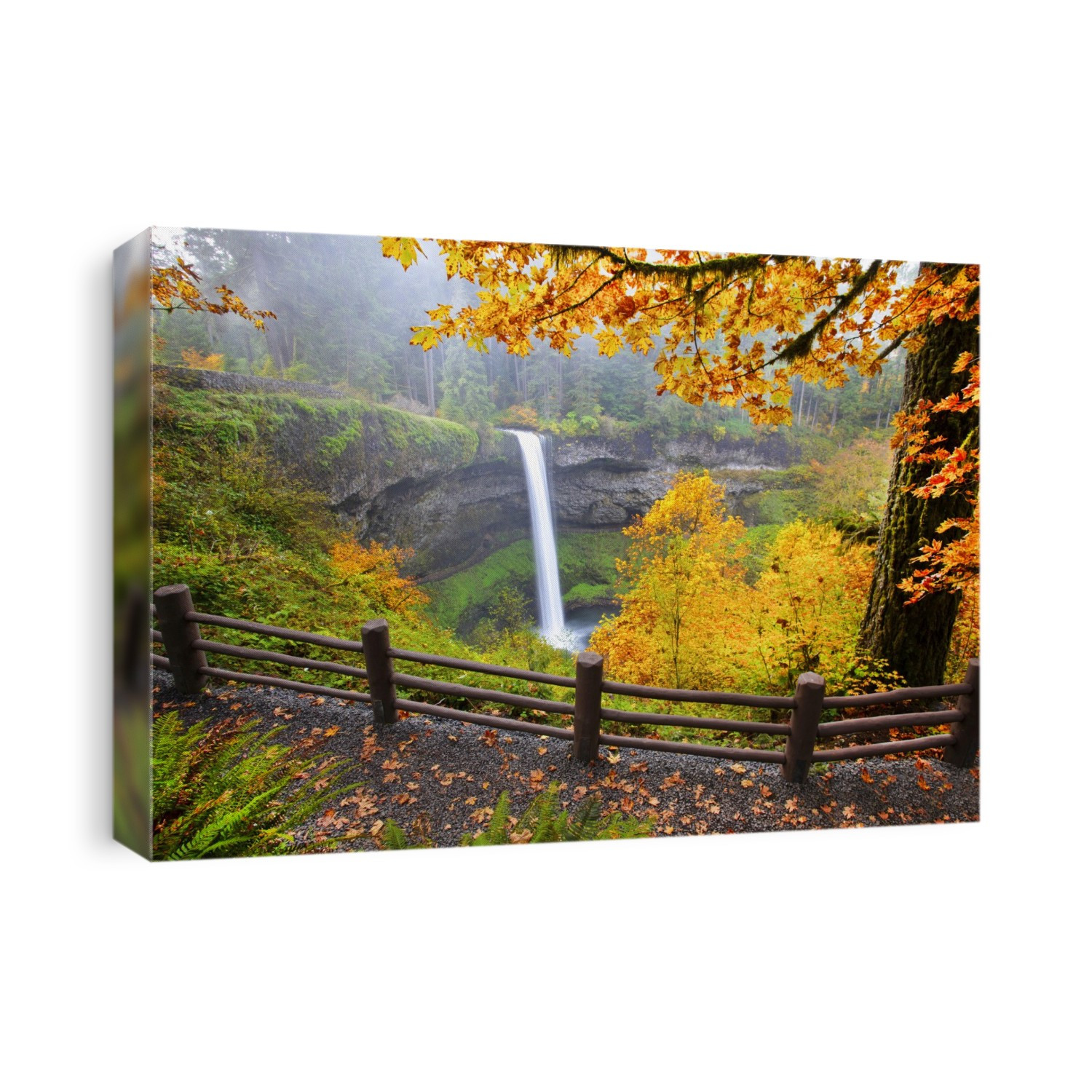Waterfall into a pool in a lush autumn coloured forest, South Falls in Silver Falls State Park; Oregon, United States of America