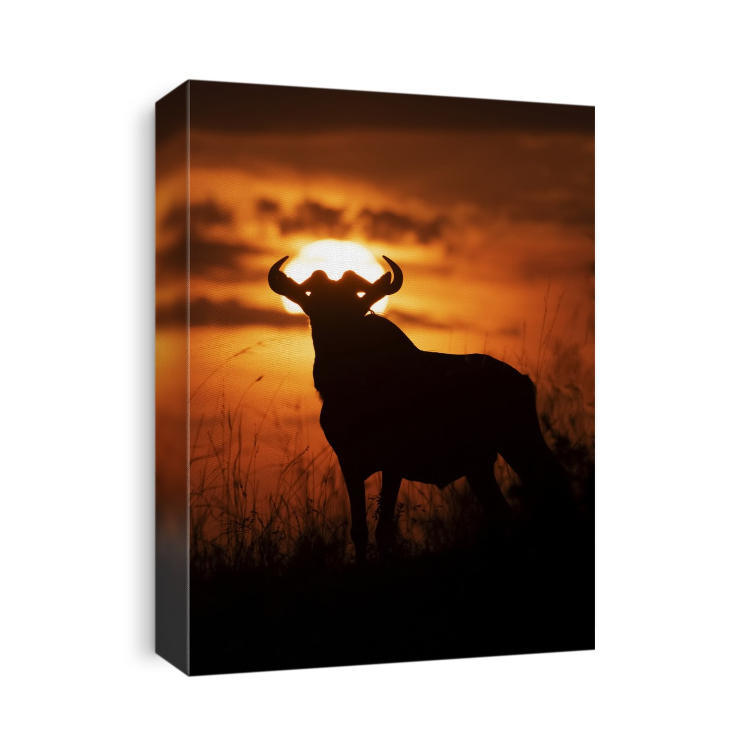 Silhouette of blue wildebeest (Connochaetes taurinus) against sunset sky, Cottar's 1920s Safari Camp, Maasai Mara National Reserve; Kenya