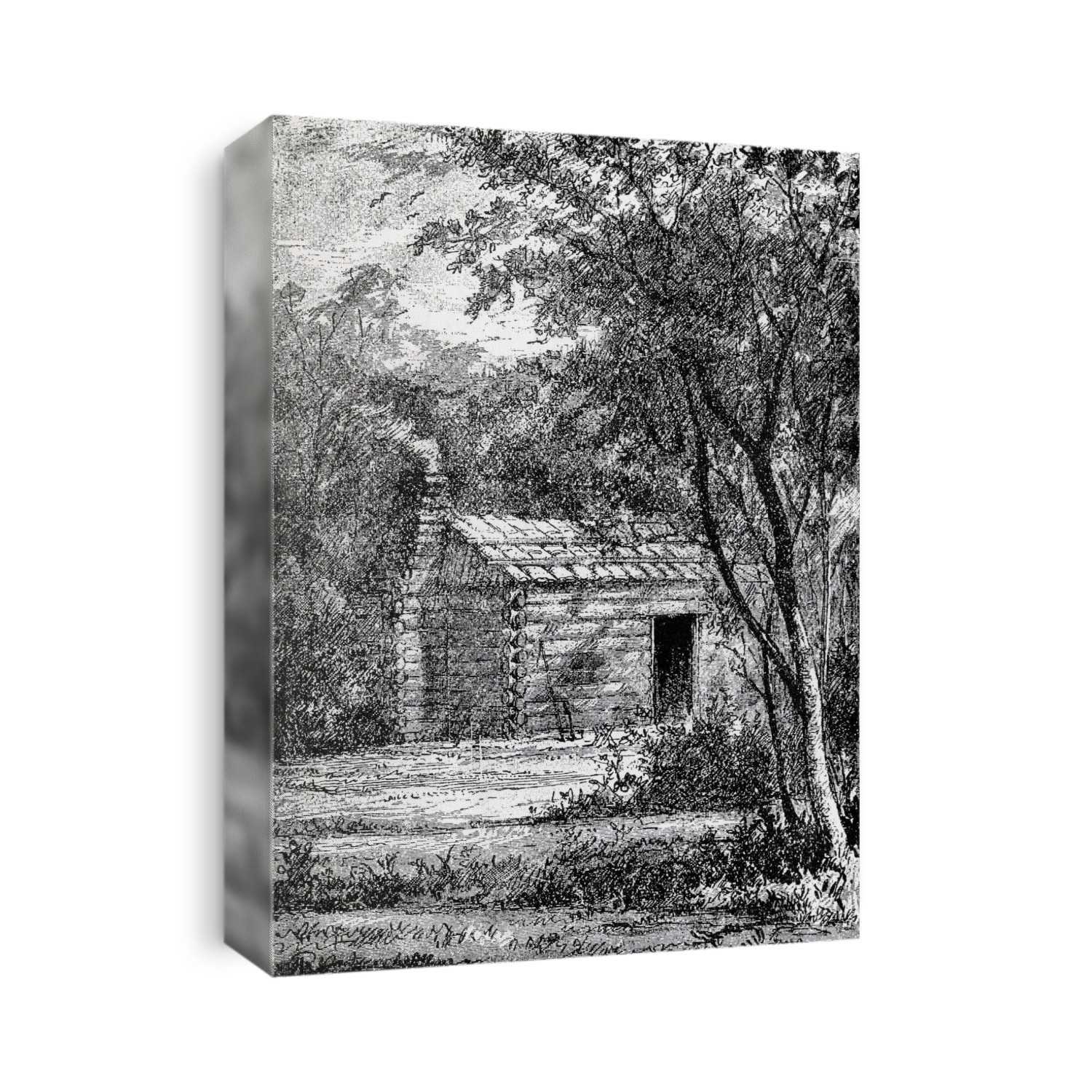 Birthplace Of James Abram Garfield 1831 To 1881 20Th President Of The United States From From Log Cabin To White House By William M. Thayer Published By Hodder And Stoughton 1905