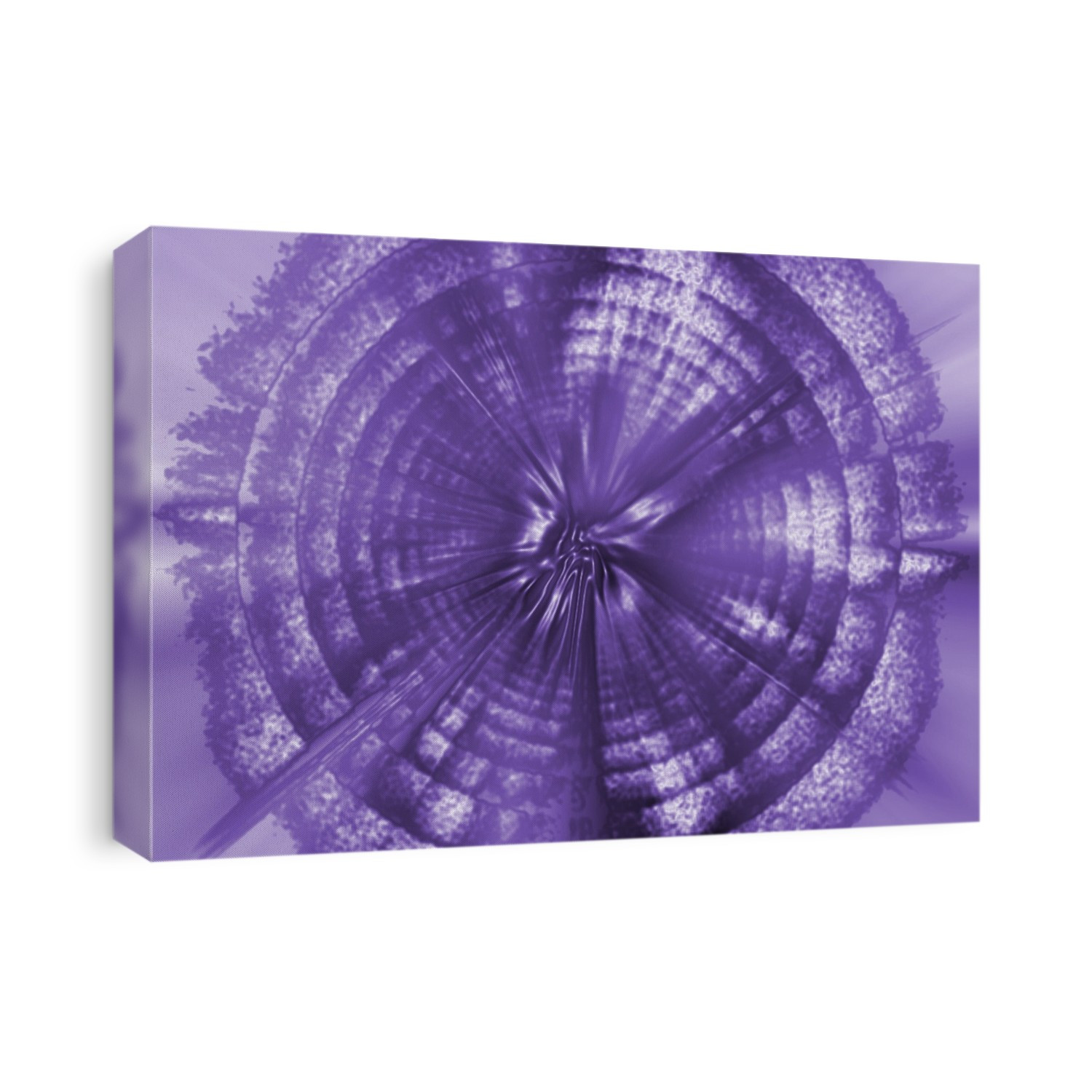 A Purple Circle