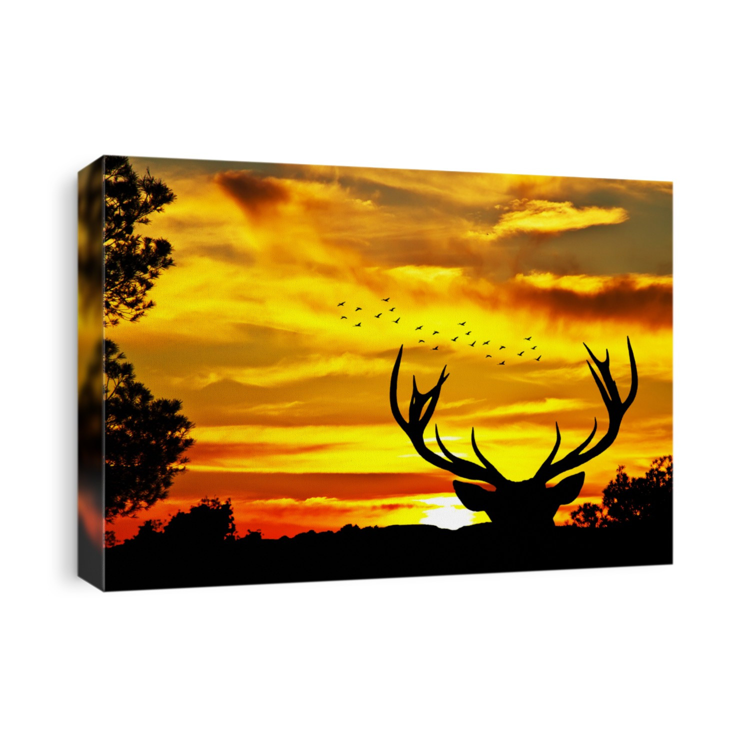 deer in the landscape