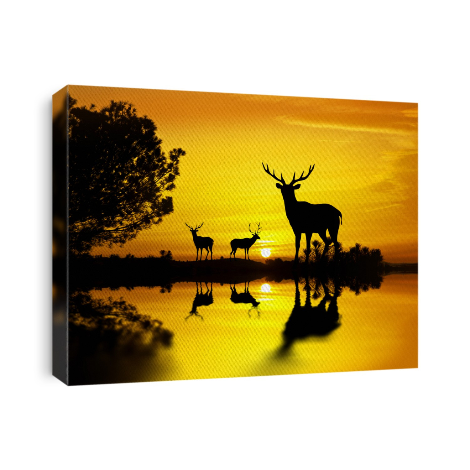 deers in the landscape