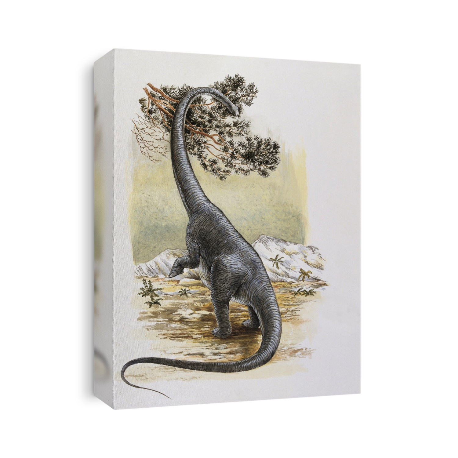 Dinosaur eating a leaf. Alamosaurus.