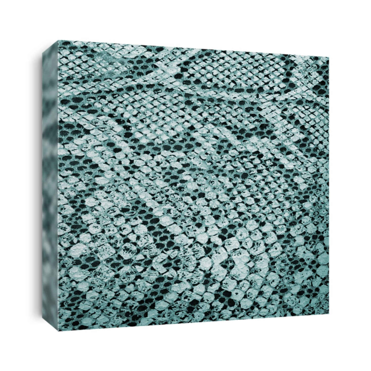 Background - texture of snake skin - Reptiles - Blue