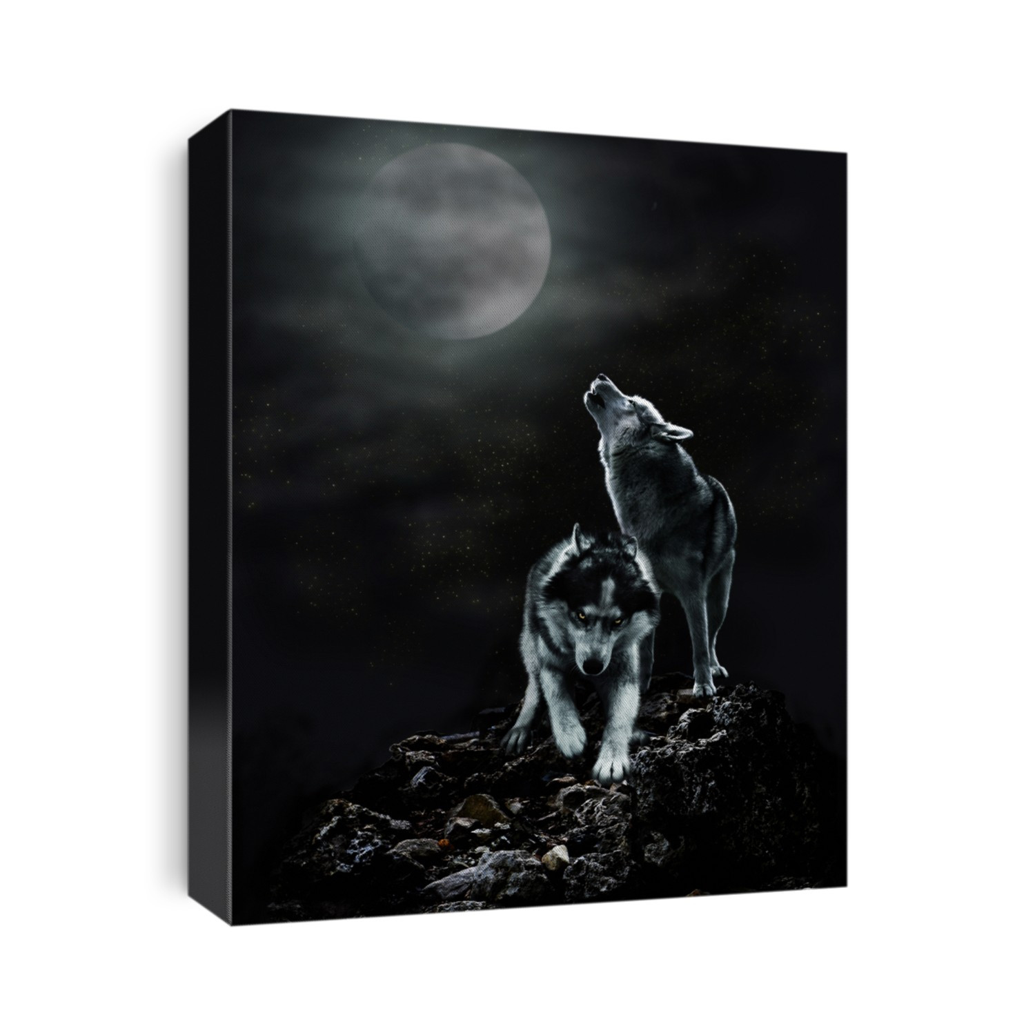 A pair of wolves on a dark night and the moon