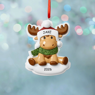 Adorable Moosey Personalized Baby Ornament