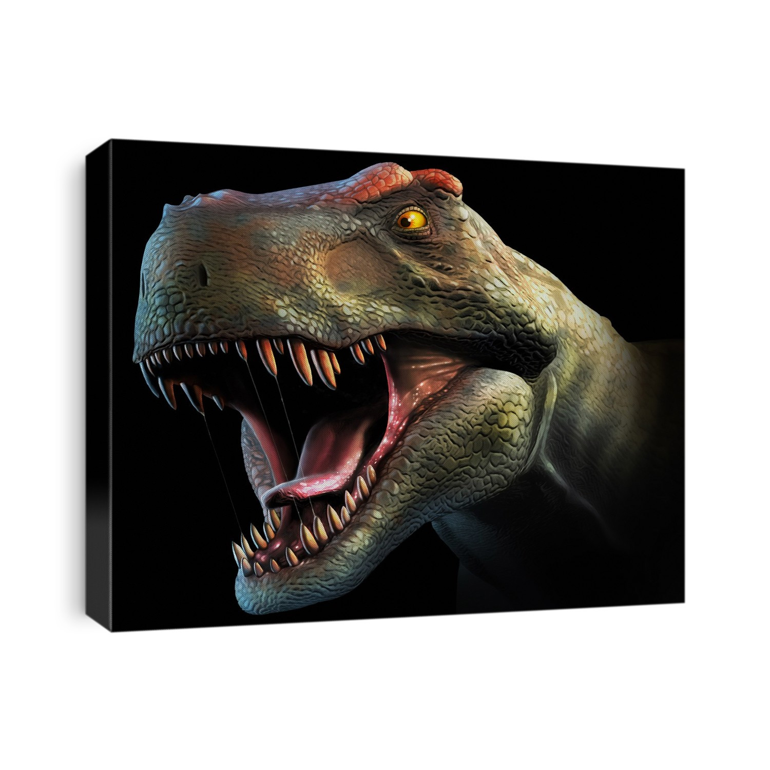 Tyrannosaurus rex, head study. This dinosaur lived in North America and Asia from about 70 million years ago until the extinction of the dinosaurs some 5 million years later. The head is heavily built, to withstand impacts with prey animals, and has the sharp teeth of a predator. T. rex is thought to have been a scavenger as well as a hunter. Among the largest carnivorous dinosaurs, T. rex was up to 6 metres tall and weighed as much as 7 tonnes.