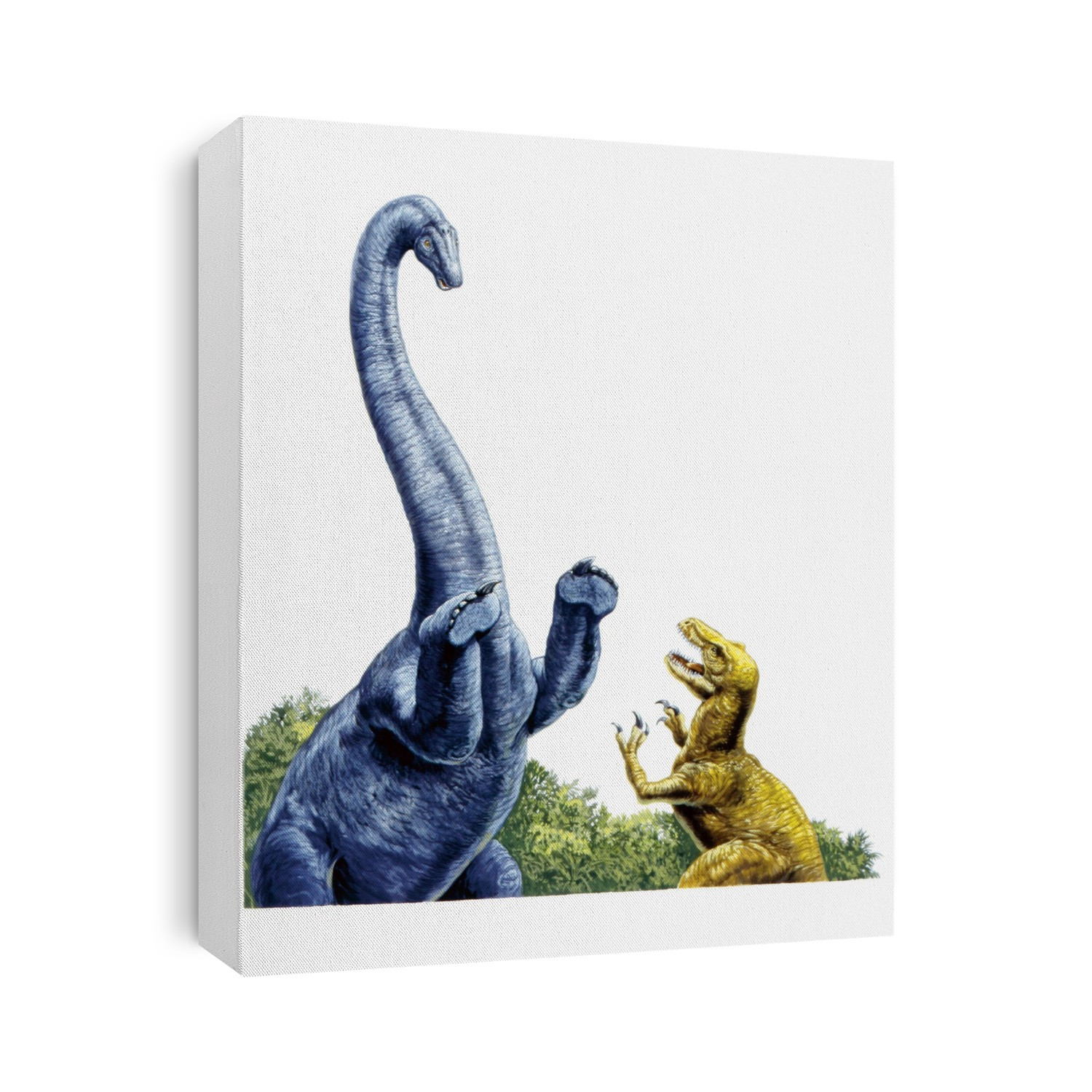 Diplodocus defending itself. Computer illustration of a Diplodocus sp. sauropod (left) defending itself against a predatory theropod (right). This herbivorous sauropod dinosaur lived from about 154 to 150 million years ago during the Late Jurassic Period, in what is now the Western United States. It is thought to have reached an average length of up to 54 metres, making it the longest known dinosaur.