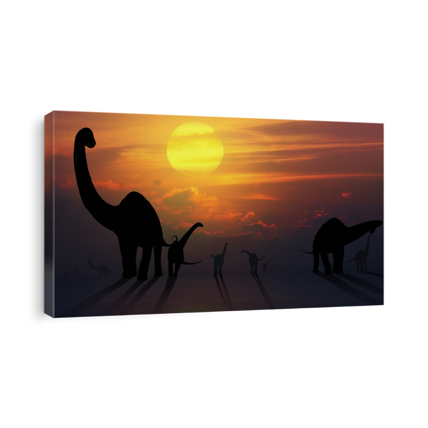 Illustration of a herd of sauropod dinosaurs seen against a sunset (or sunrise). Sauropods, which were universally herbivorous, were common throughout the entire age of the dinosaurs, from the Triassic through to their extinction at the end of the Cretaceous. Many genera are known from all over the world. The largest among them were the biggest creatures ever to walk on land. Examples include Diplodocus and Brachiosaurus.
