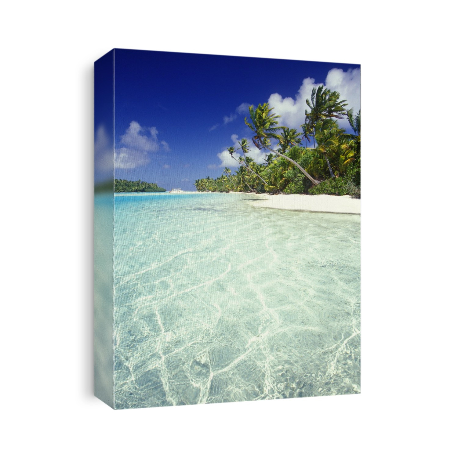 Palm trees on the white sand beach of One Foot Island with turquoise ocean water of the South Pacific; Cook Islands