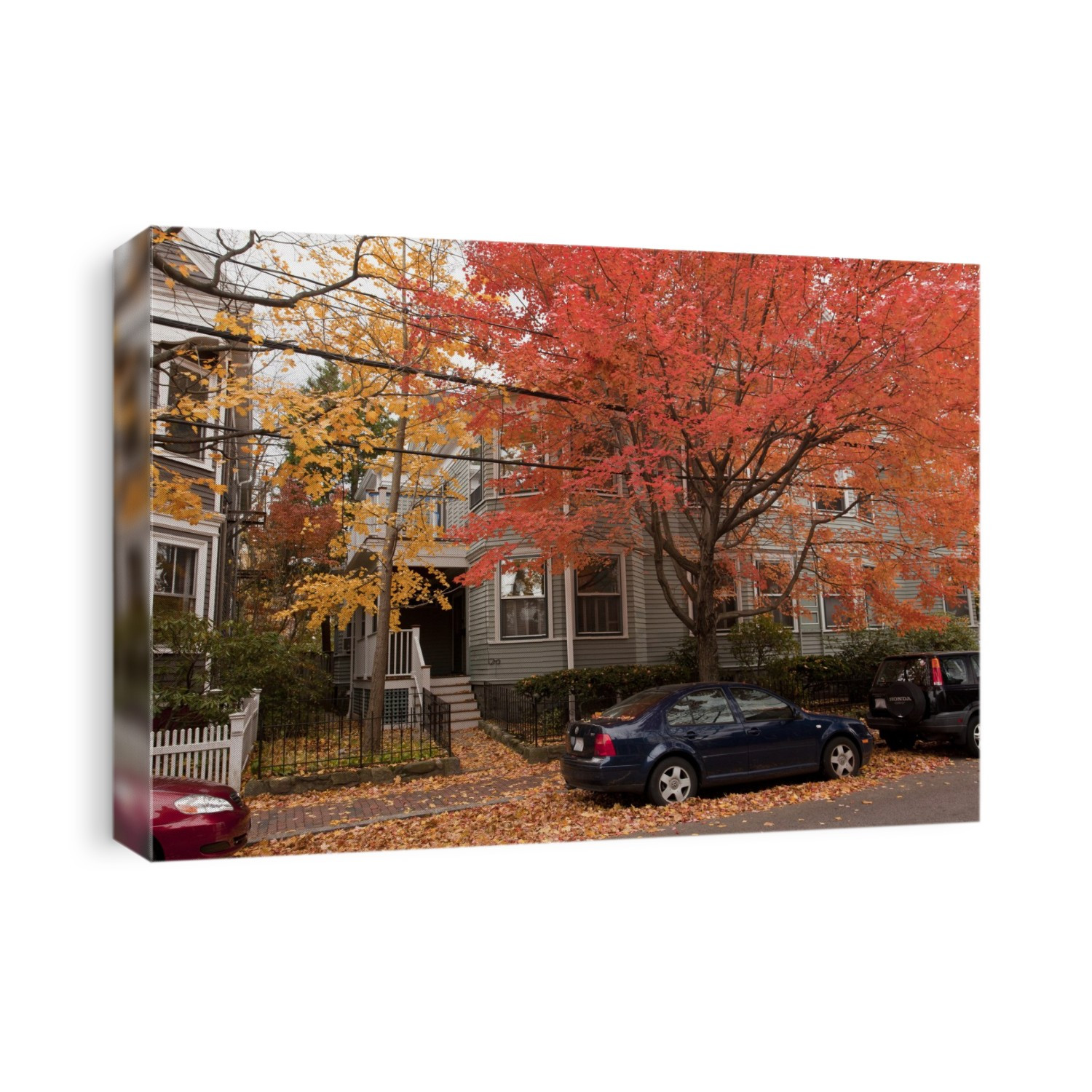 Suburban street in autumn. Photographed in Cambridge, Massachusetts, USA.