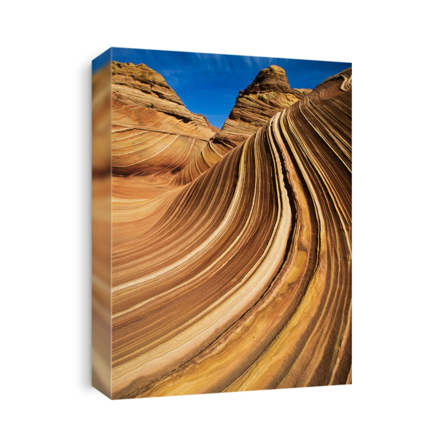 Close-up of The Wave, colorful sandstone rock formation of the Coyote Buttes in the Paria Canyon-Vermilion Cliffs Wilderness; Arizona, United States of America