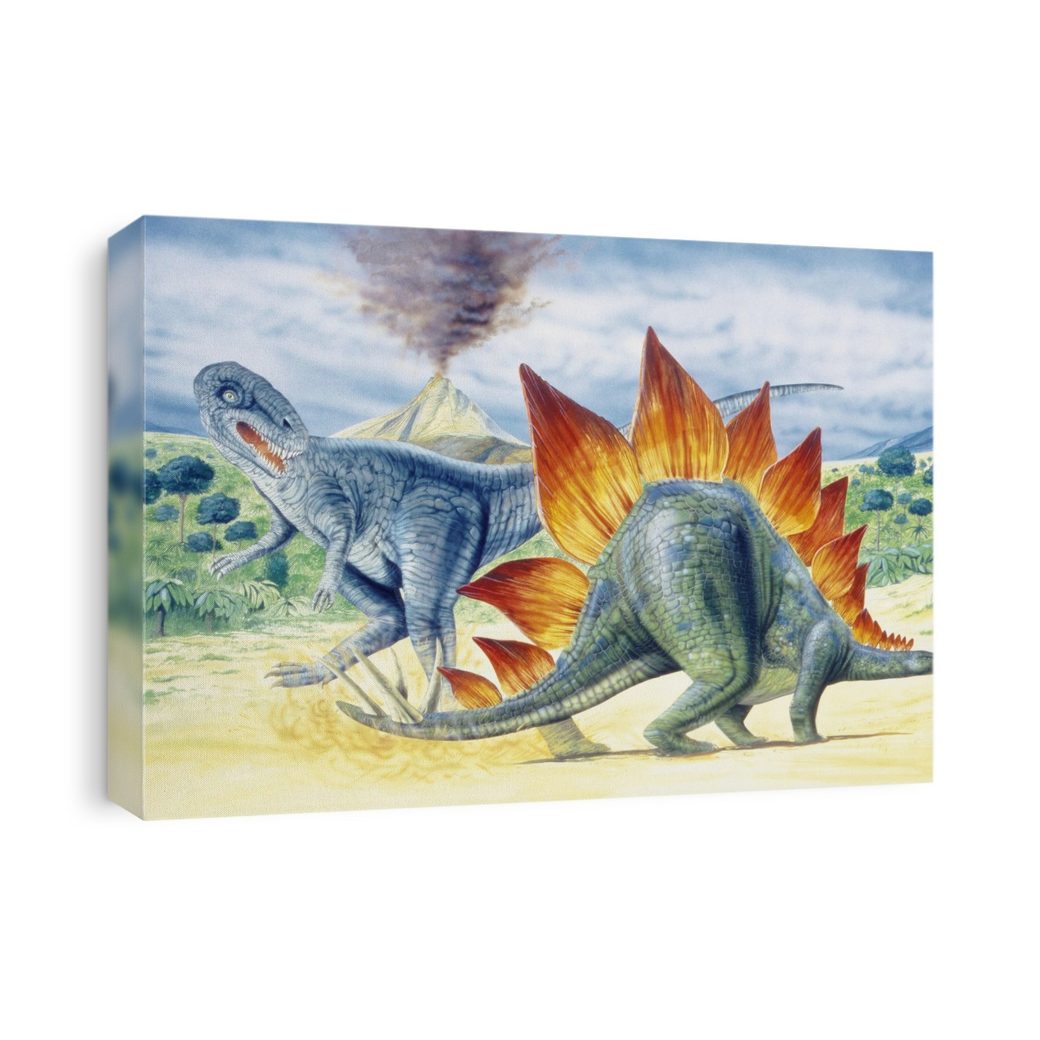 Illustration of Stegosaurus.