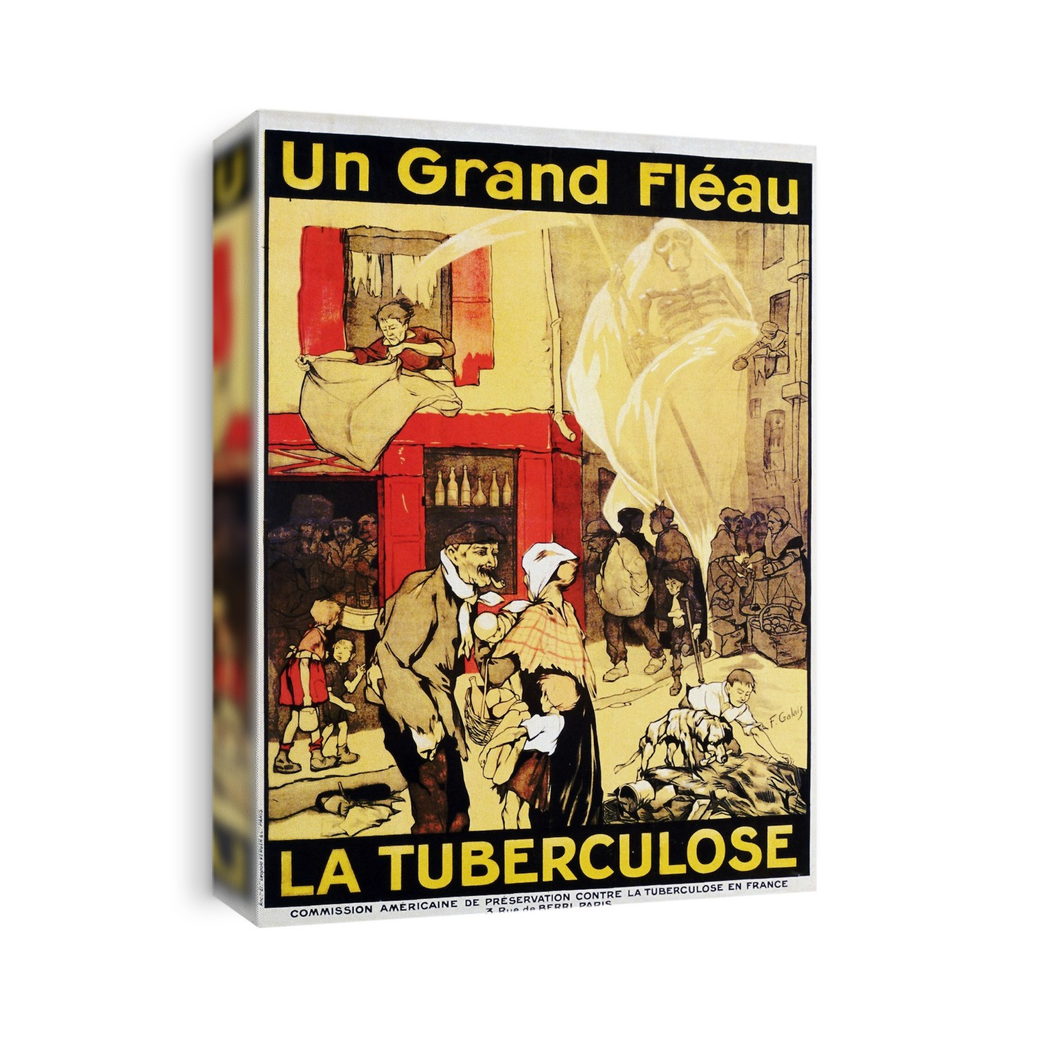 Tuberculosis. Historical poster published in 1917 by the American Commission for preservation against tuberculosis in France. The main text reads 'A great scourge, Tuberculosis'.