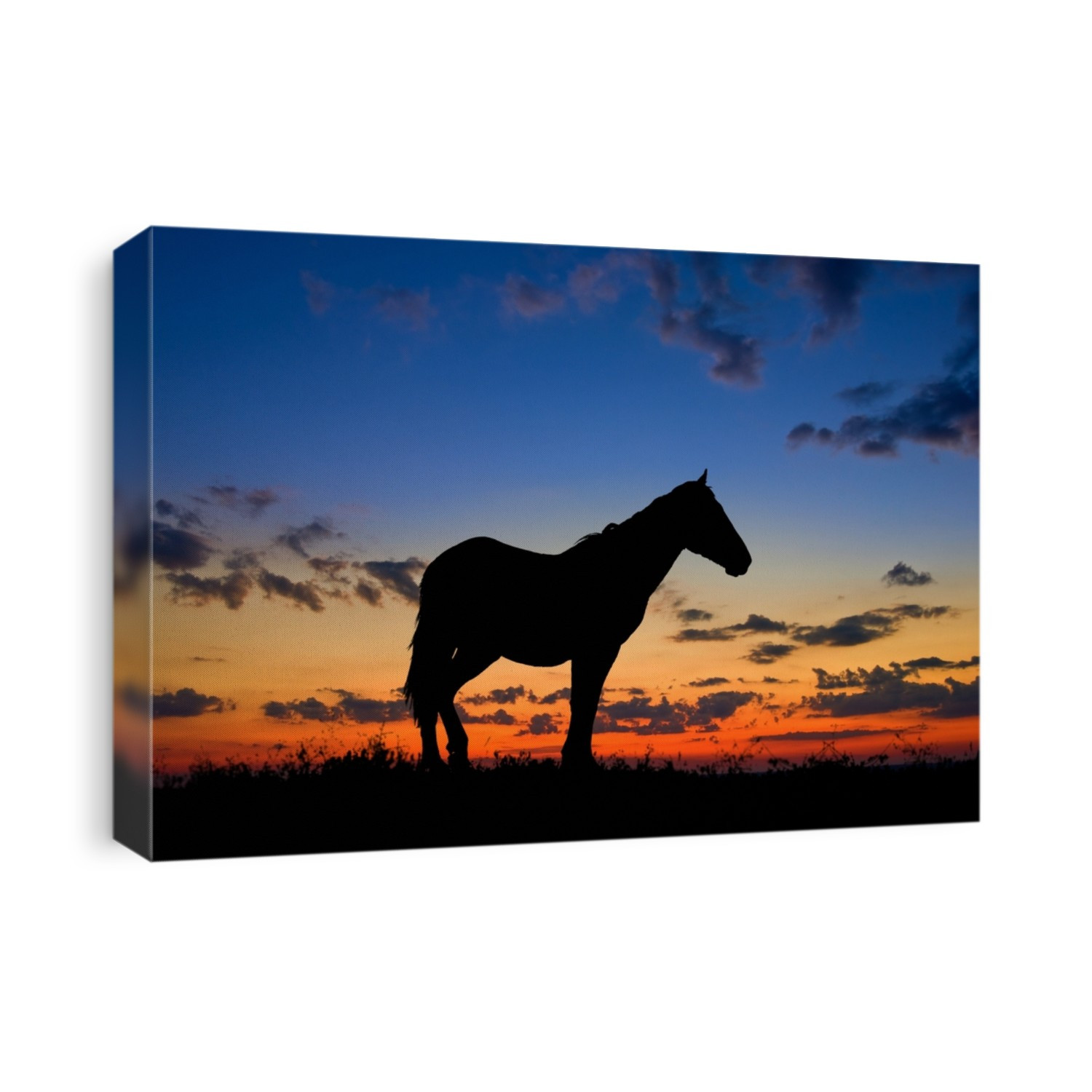 horse silhouette by a dawn