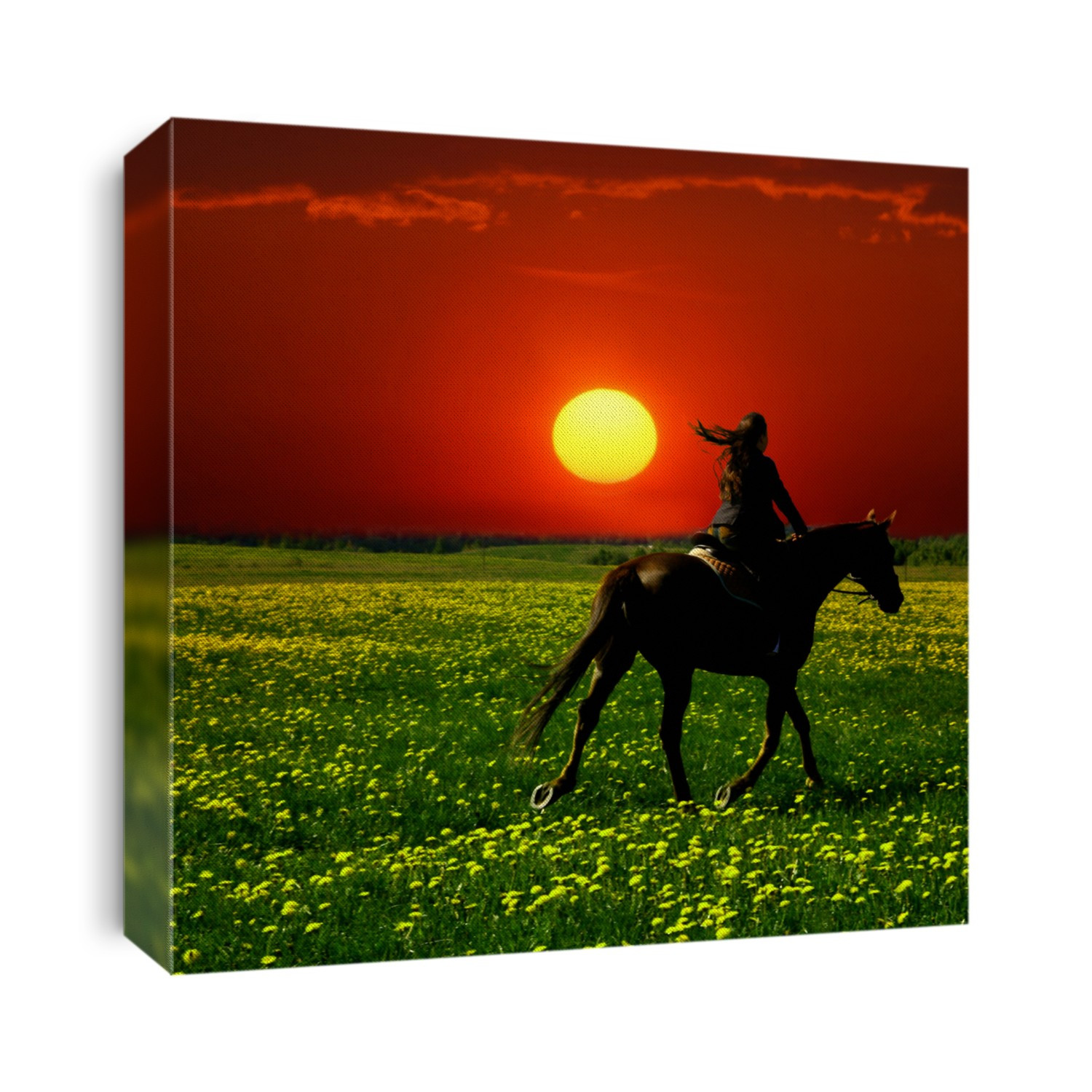 horse rider