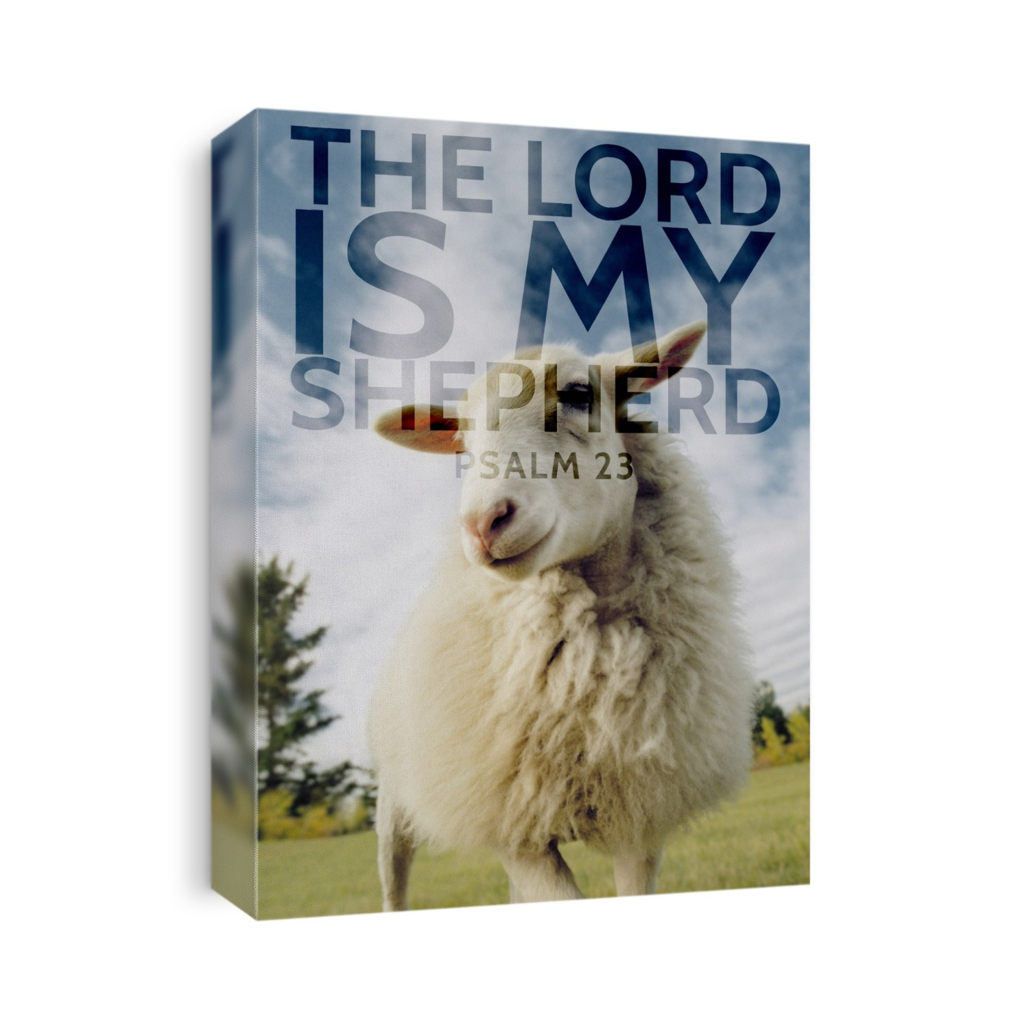 Image Of A Sheep With Scripture From Psalm 23