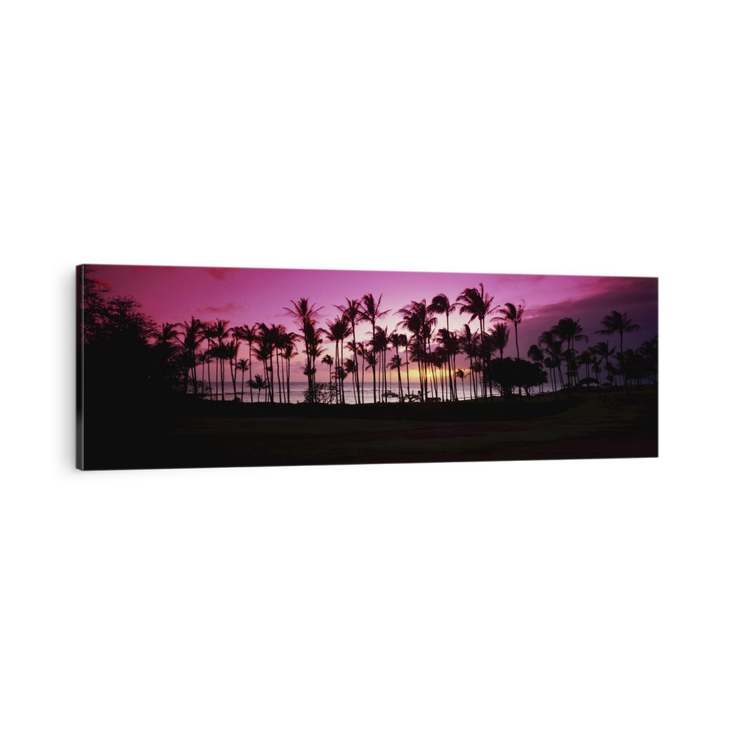 Tropical Sunset With Magenta Sky And Palm Trees In Kapalua Bay; Maui, Hawaii, United States Of America