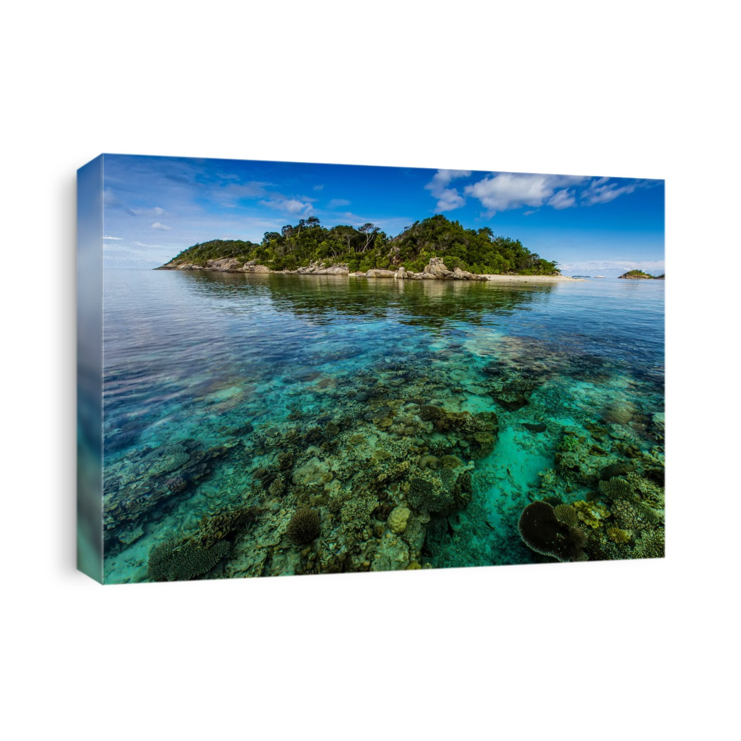Scenic seascape of coral surrounding a tropical island.
