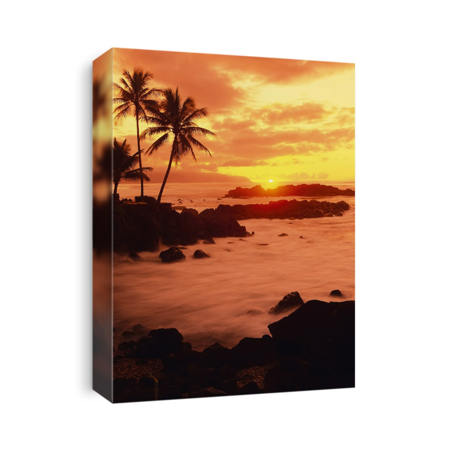 Palm Trees and Beach at Sunset, North Shore, Oahu, Hawaii, USA
