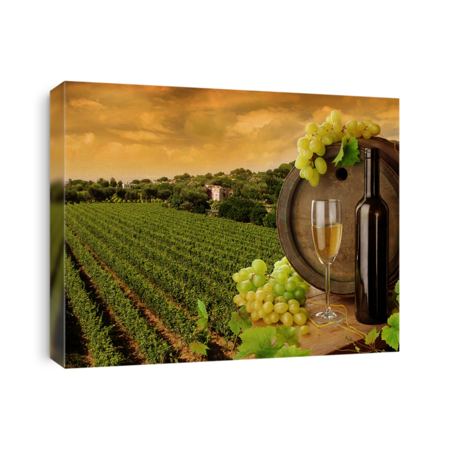 Wine and vineyard in sunset