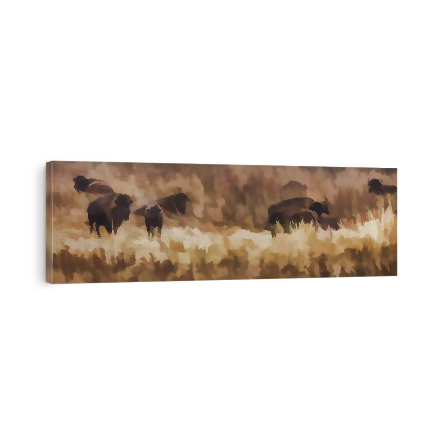 Bison (Bison Bison Athabascae) Grazing, Elk Island National Park; Alberta, Canada
