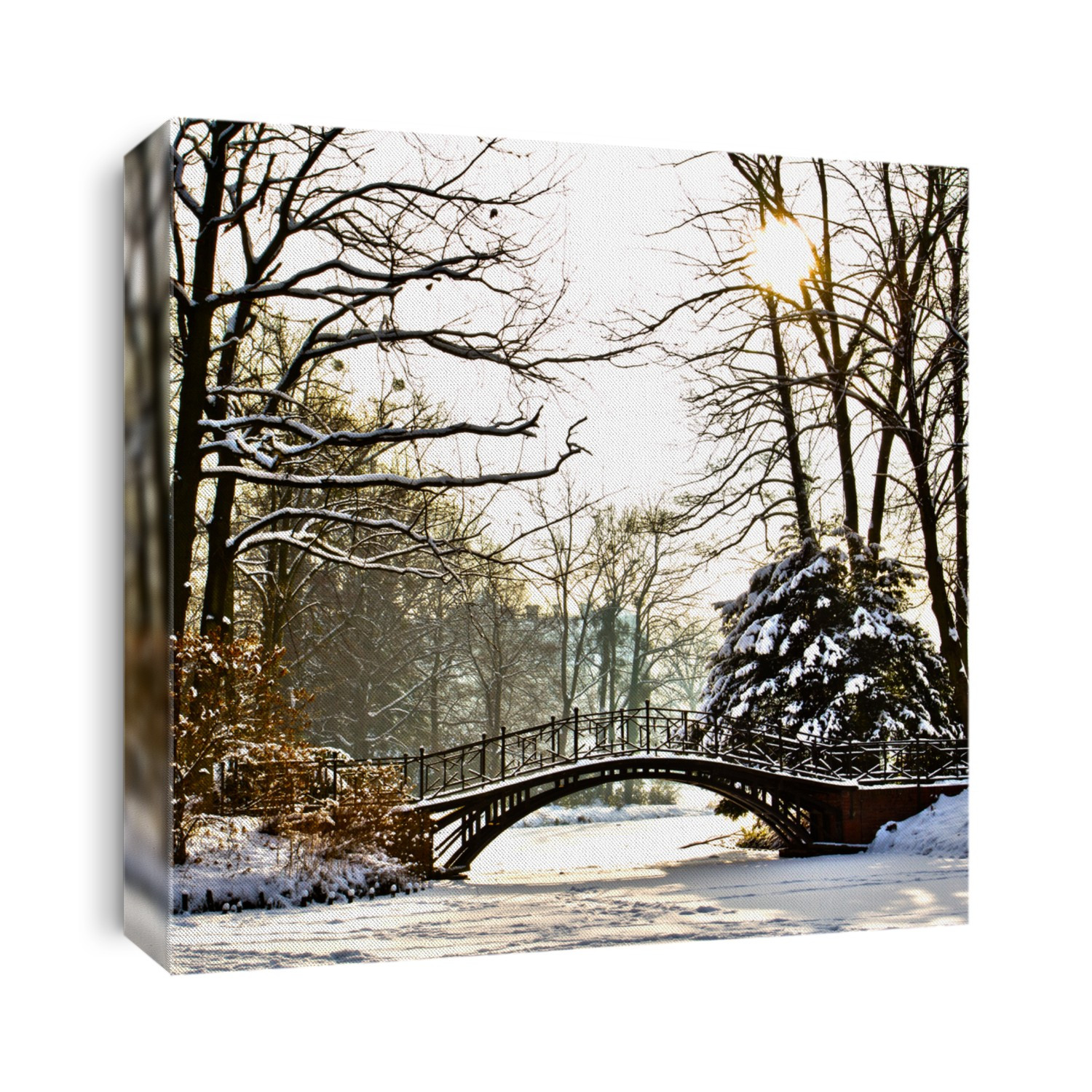 Winter scene - Old bridge in winter snowy park