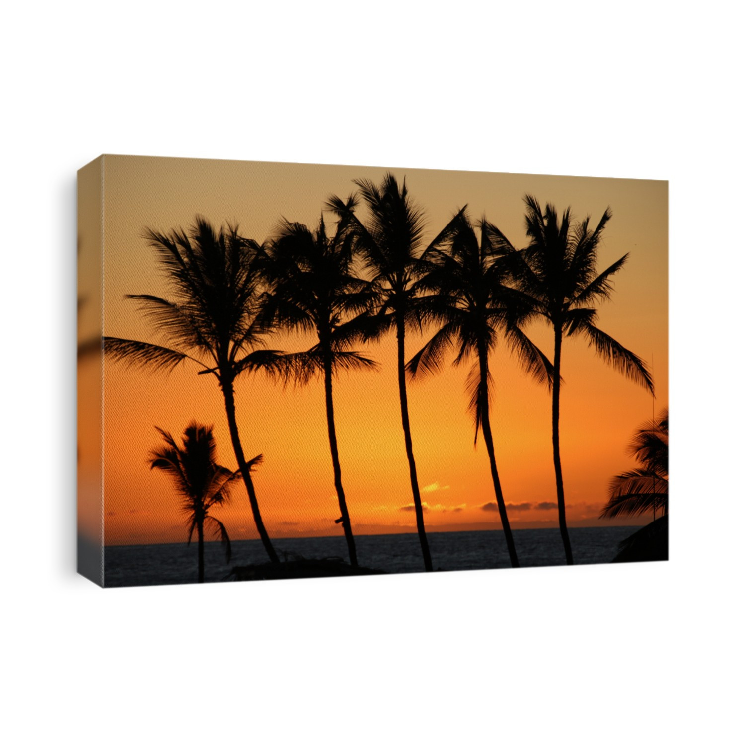 Beautiful Hawaii sunsets with palm trees