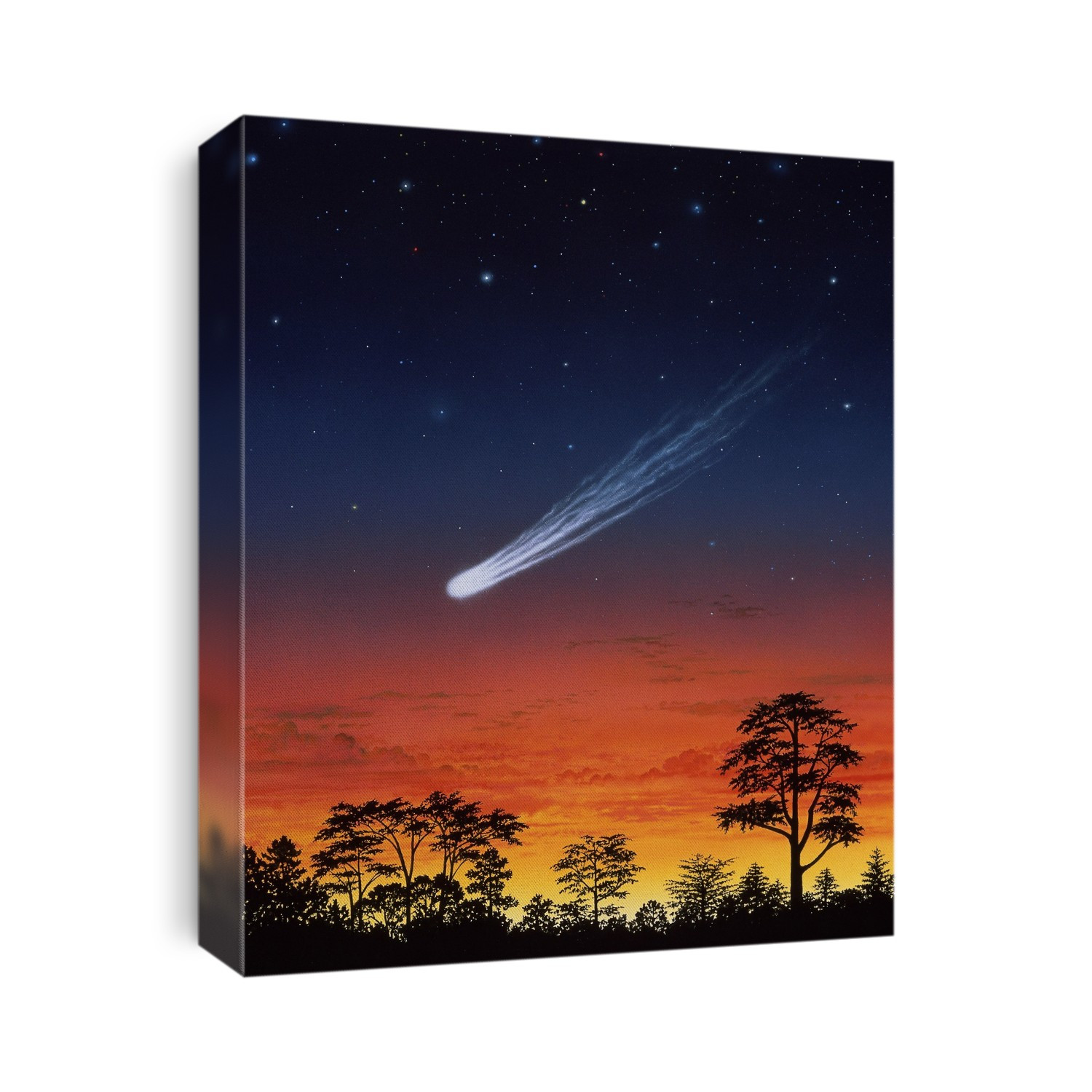 Comet. Illustration of a huge comet in a starry sky over trees silhouetted at sunset. A comet is a ball of ice and dust that orbits the Sun. As it passes near the Sun its surface evaporates, releasing a tail of dust and vapour that can extend for millions of kilometres. The tail always extends in the opposite direction from the Sun, whatever direction the comet is travelling in. Comets are thought to come from a cloud of billions of comets near the edge of the Solar System, called the Oort Cloud. The gravitational effect of passing stars occasionally knocks a few out of the Oort Cloud, sending them on orbits that take them near the Sun, where they become visible.