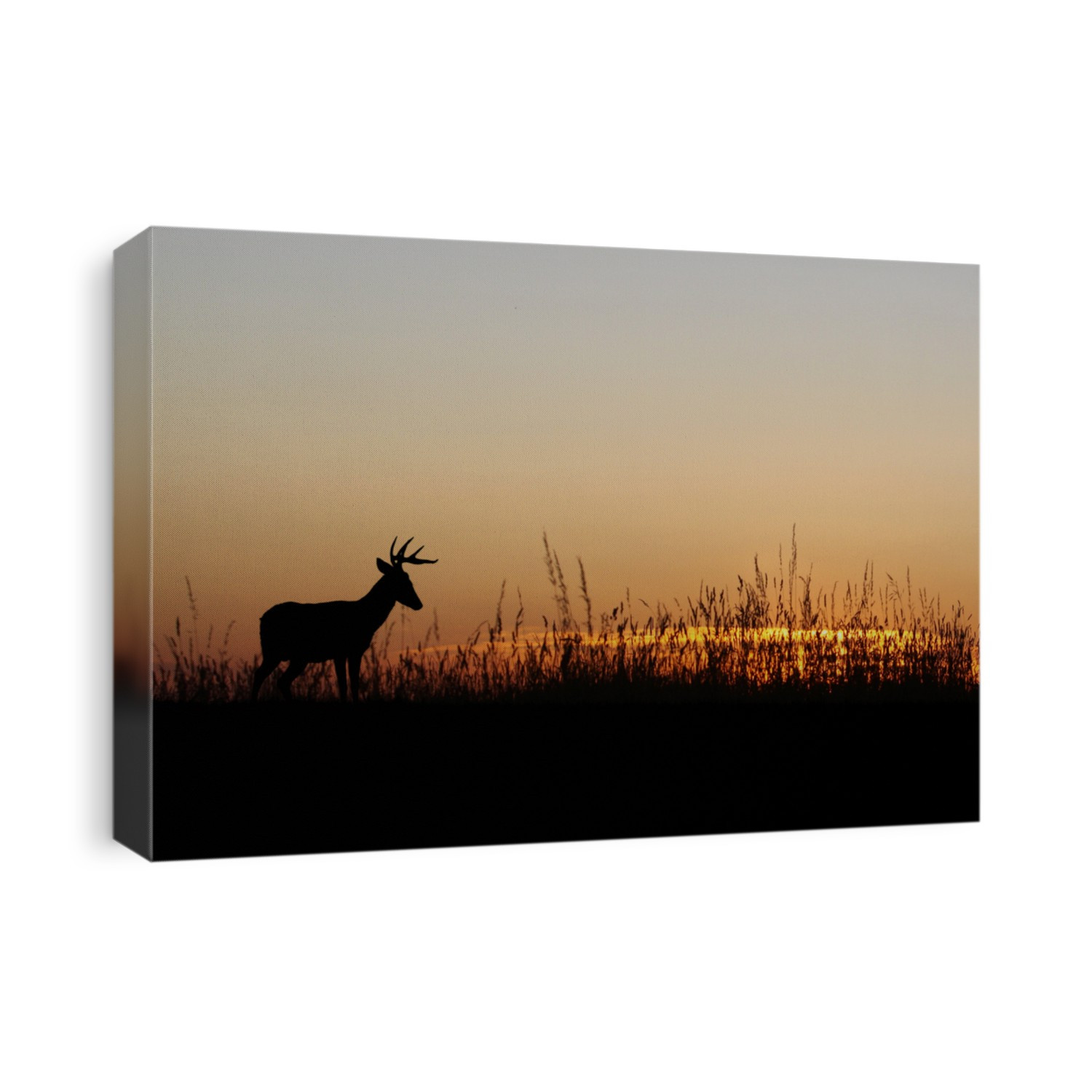 sunset deer silhouette