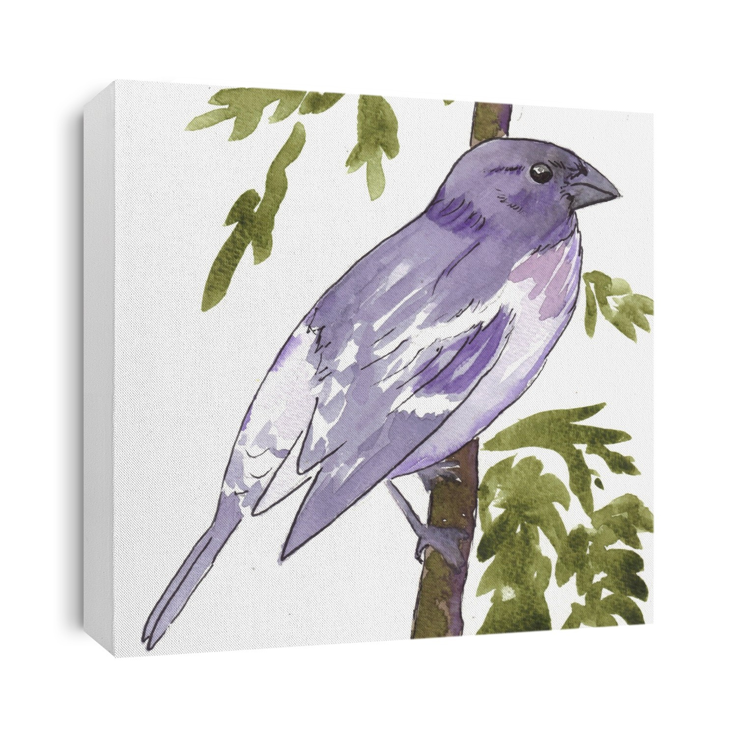 Birds