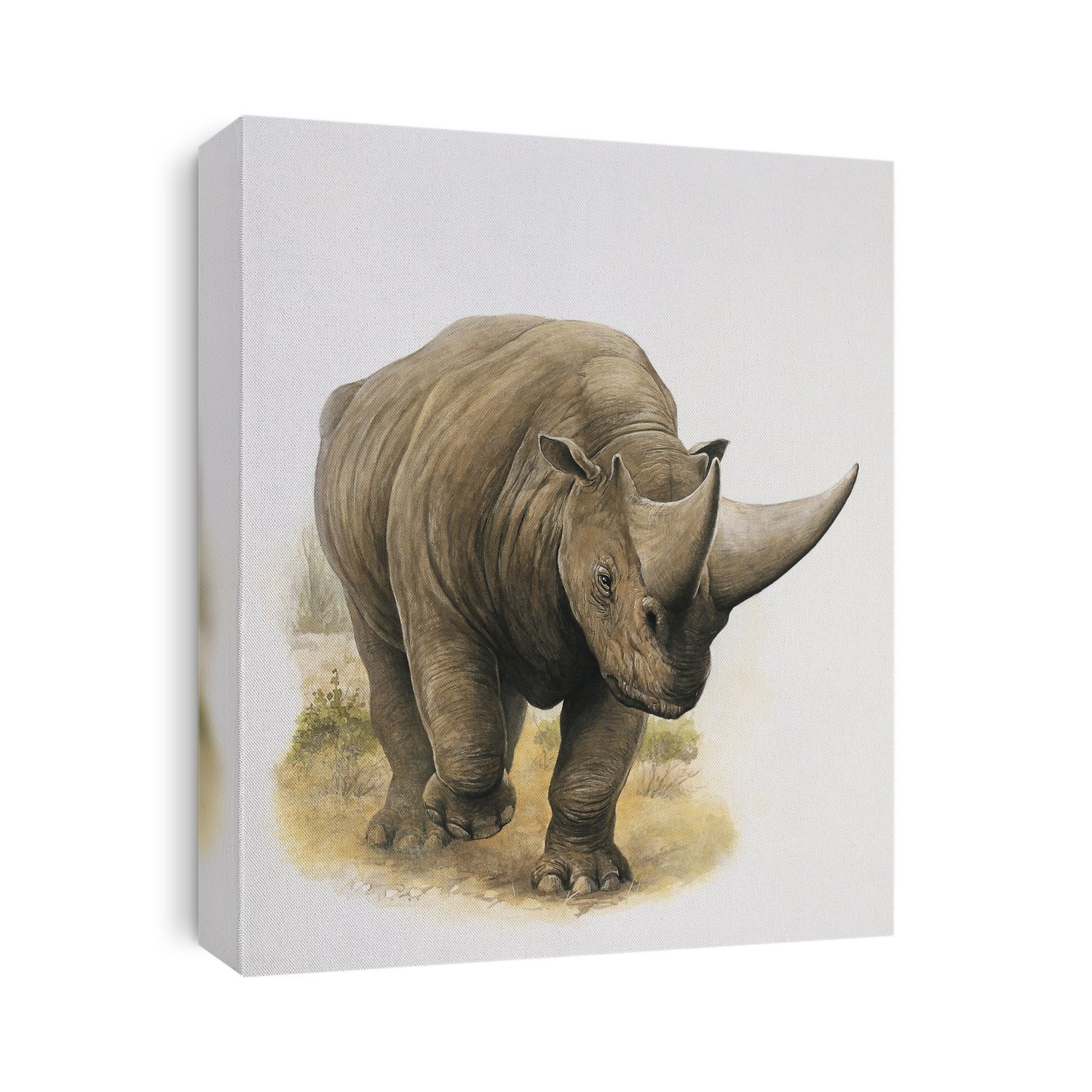 Rhinoceros walking in the forest. Arsinoitherium.