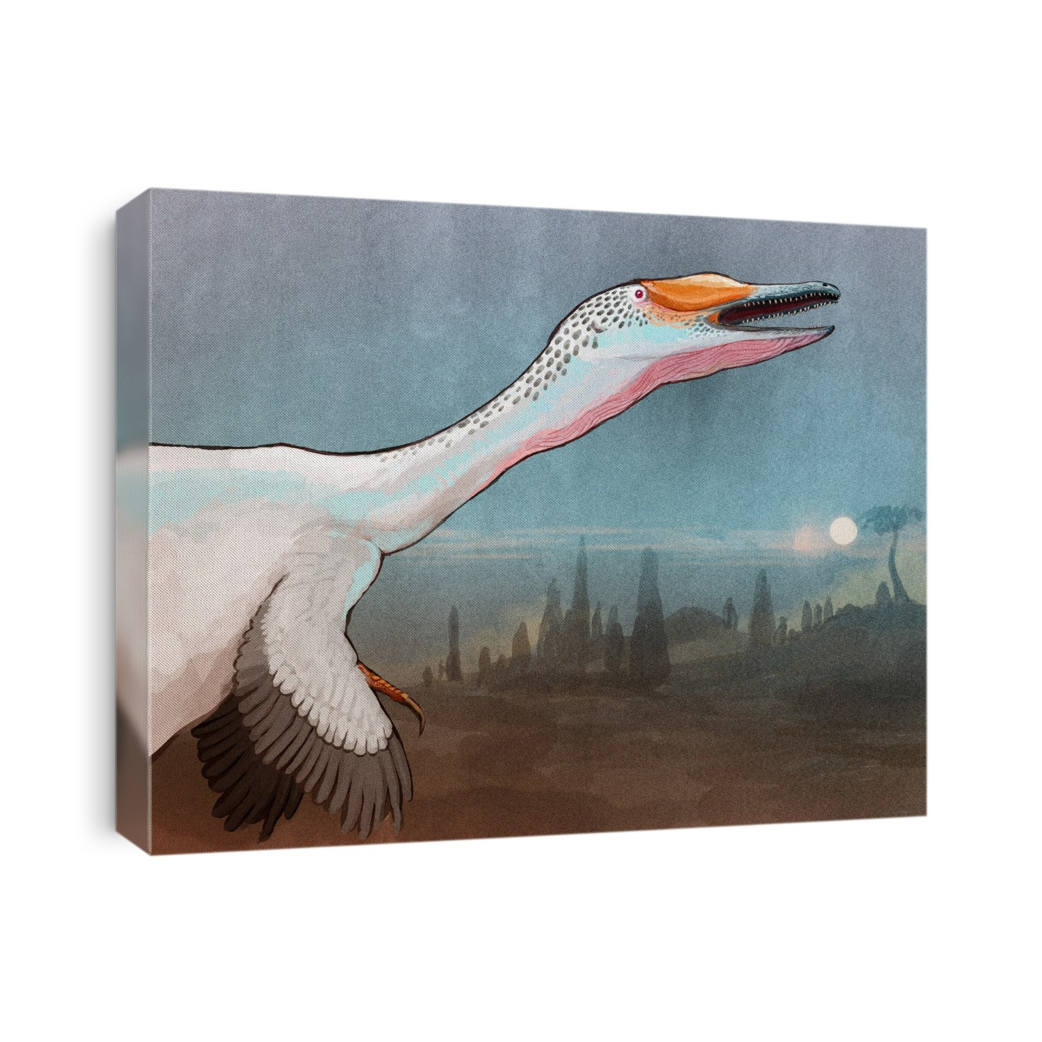 Austroraptor dinosaur. Computer illustration of an Austroraptor sp. dinosaur. Austroraptor was a bird-like feathered carnivore that lived around 70 million years ago, during the Cretaceous period, in what is now Argentina. It measured around 5 metres from head to tail.