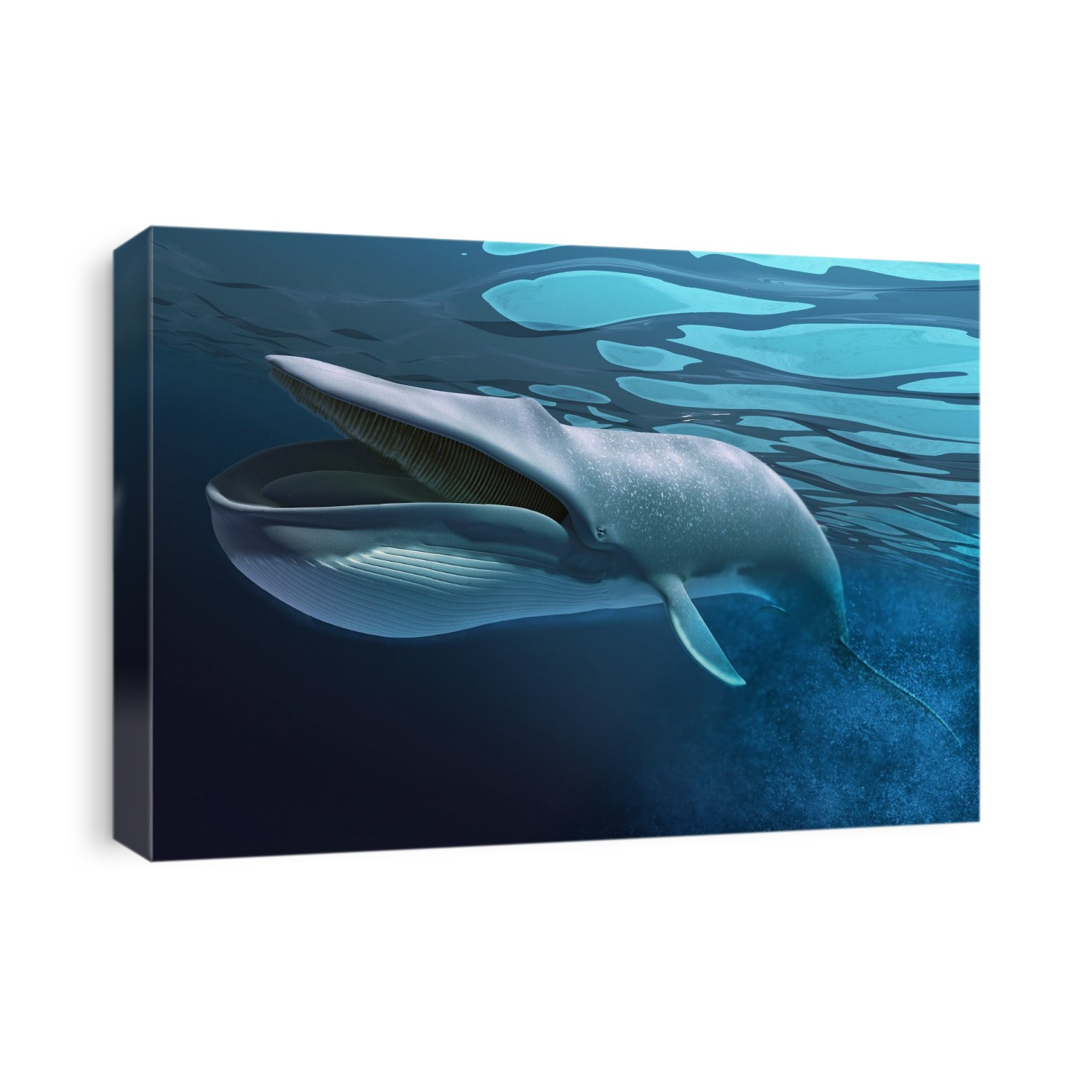 Whale, artwork.