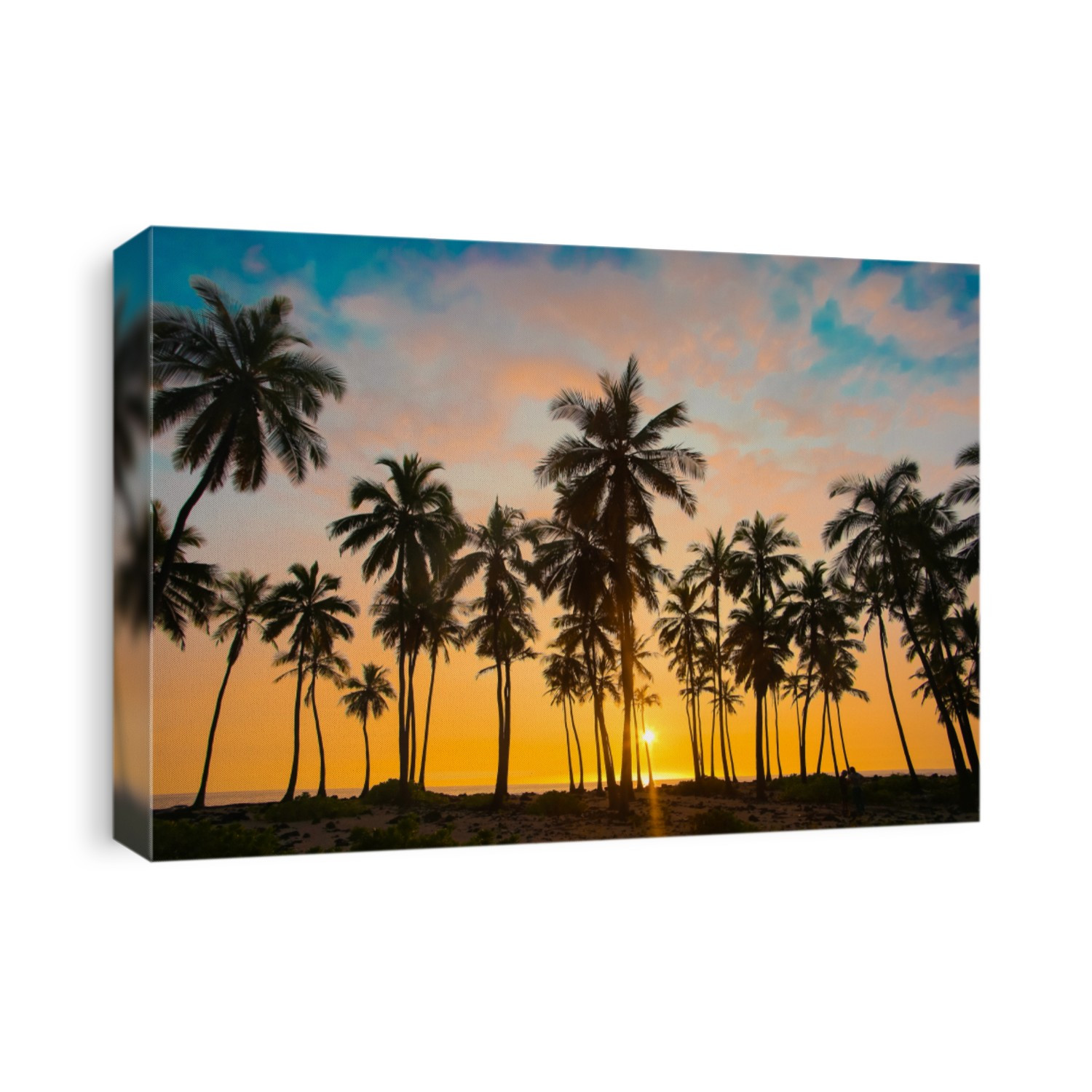 Sunset in Hawaii. Row of the palm trees on the beach and colorful sky with the sun going down. Tropical sunset on the beach.