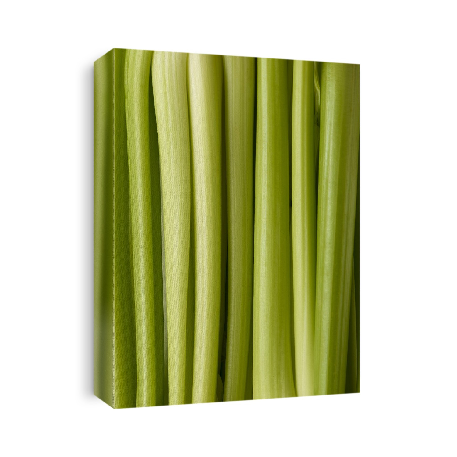Celery, full frame.