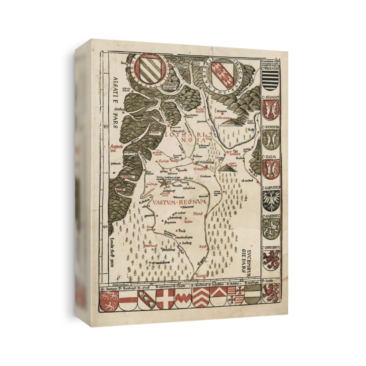 Waldseemuller map of Lorraine, 16th century. Produced by German cartographer Martin Waldseemuller for his patron Rene II, Duke of Lorraine, this map (first state published in 1513) is considered to be the earliest printed regional map based on systematic surveys. Orientated with North at bottom, the map proclaimed the glory and ambitions of the Duchy of Lorraine ('Lotharingia') and the adjacent Westrich Plateau region ('Vastum Regnum'). These are today parts of France and Germany. The area is drained by the Moselle and Saar rivers, descending from the Vosges Mountains (across top). At top left is Alsace, with Luxembourg at bottom right. Cities include Nancy (centre). The map is adorned with 19 coasts of arms. At top are the arms of the Domain of Westrich and the Duchy of Lorraine. Martin Waldseemueller lived and worked at 'S. deodatus' (Saint-Die-des-Vosges) at upper left.