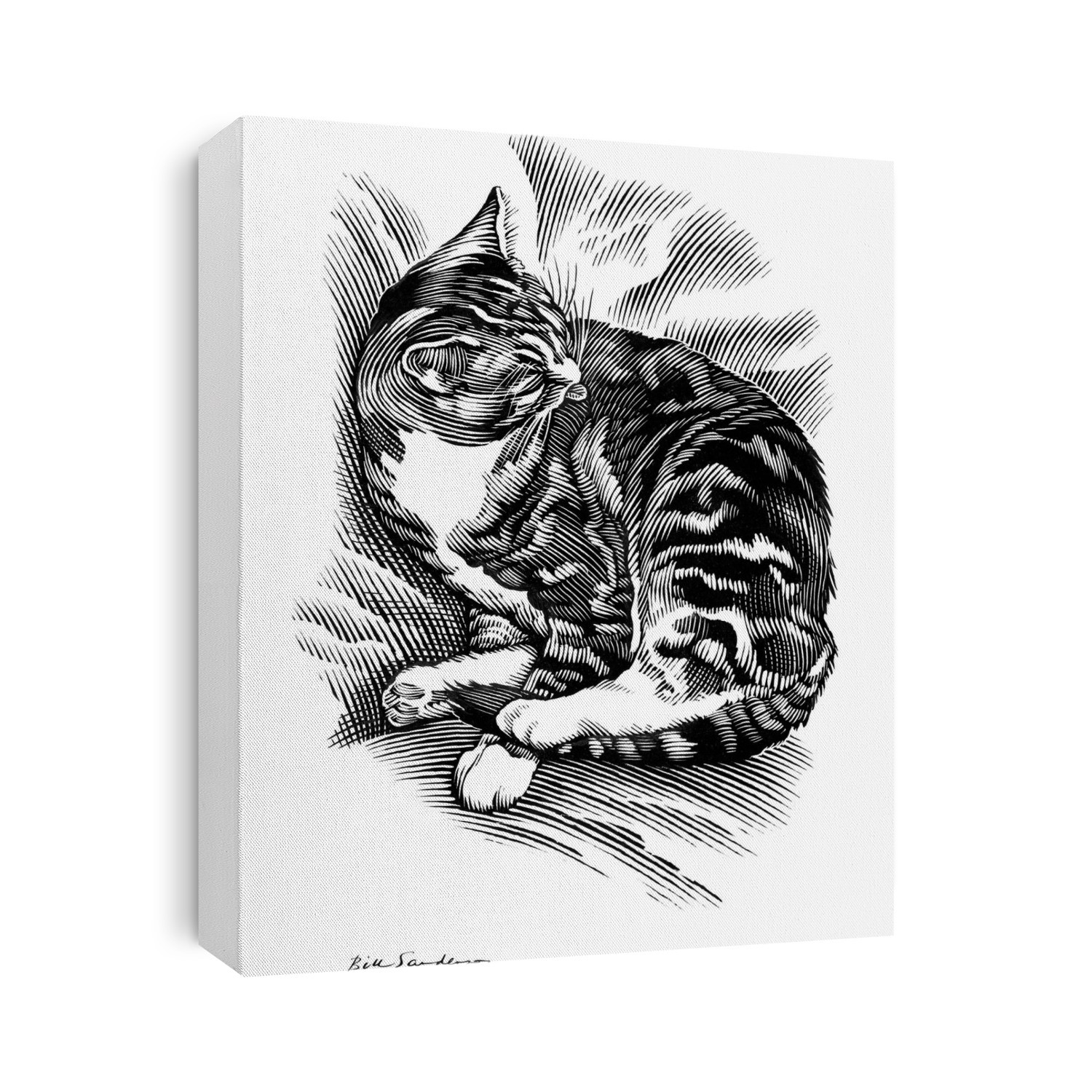 Cat grooming its fur, artwork.