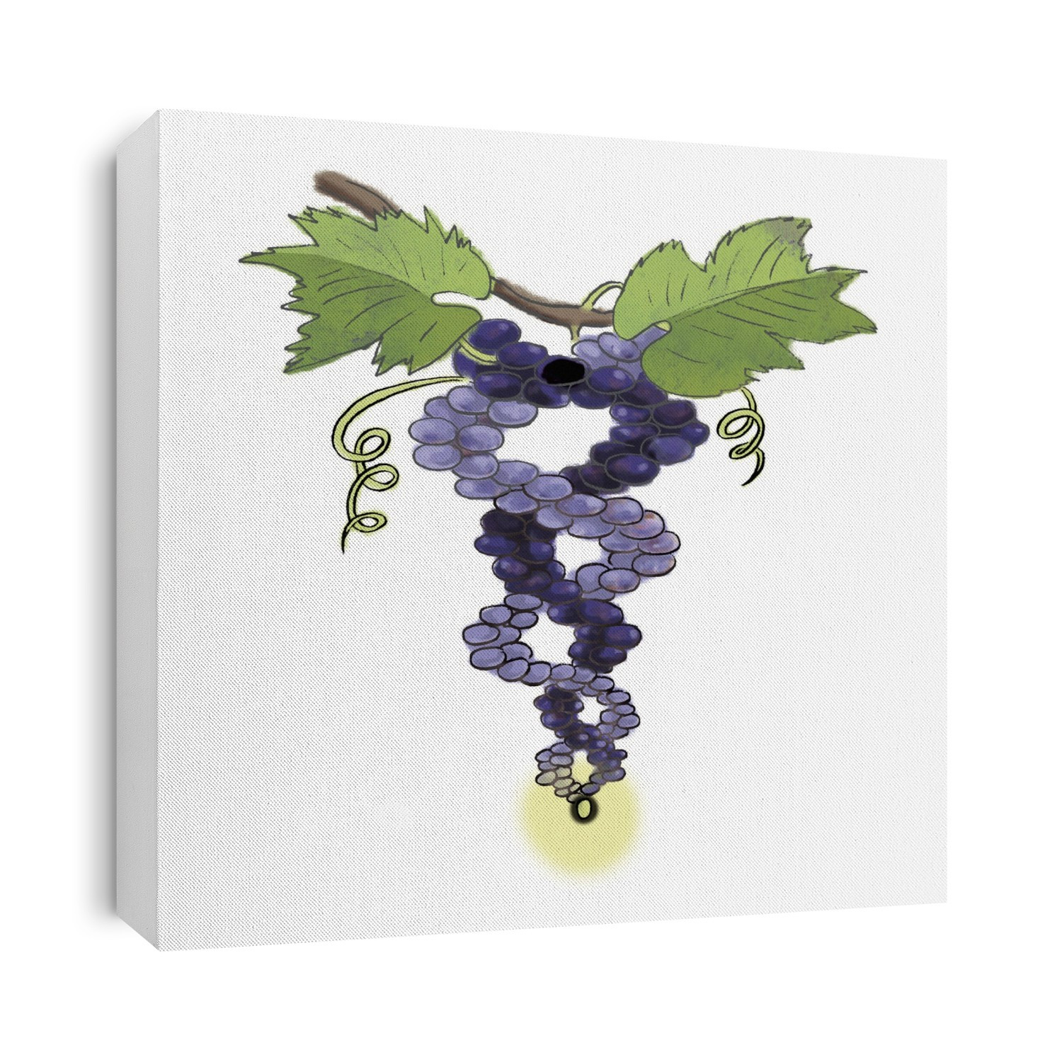 Genetically modified grapes. Conceptual artwork of grapes in the double helix shape of DNA (deoxyribonucleic acid) on a vine. This represents concepts such as the genetic modification of food crops. It can also represent the genetic history of wine grapes, with the green (white) variety of grapes being due to a genetic mutation of the dark (red) grape variety over 3000 years ago.