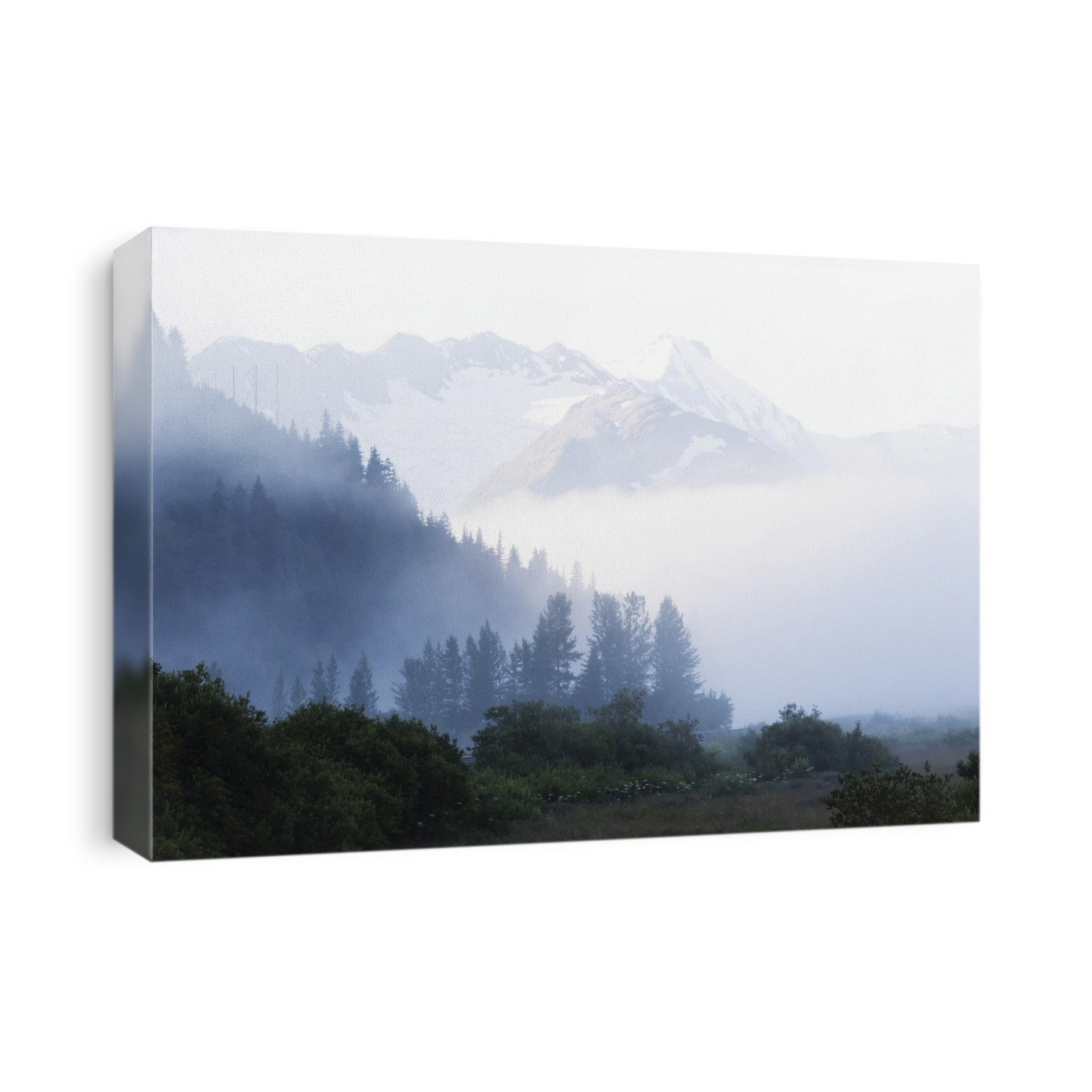 Early Morning Fog In South-Central Alaska; Alaska, United States Of America