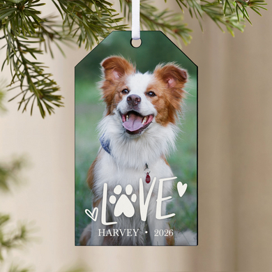 Pet Love Photo Ornament